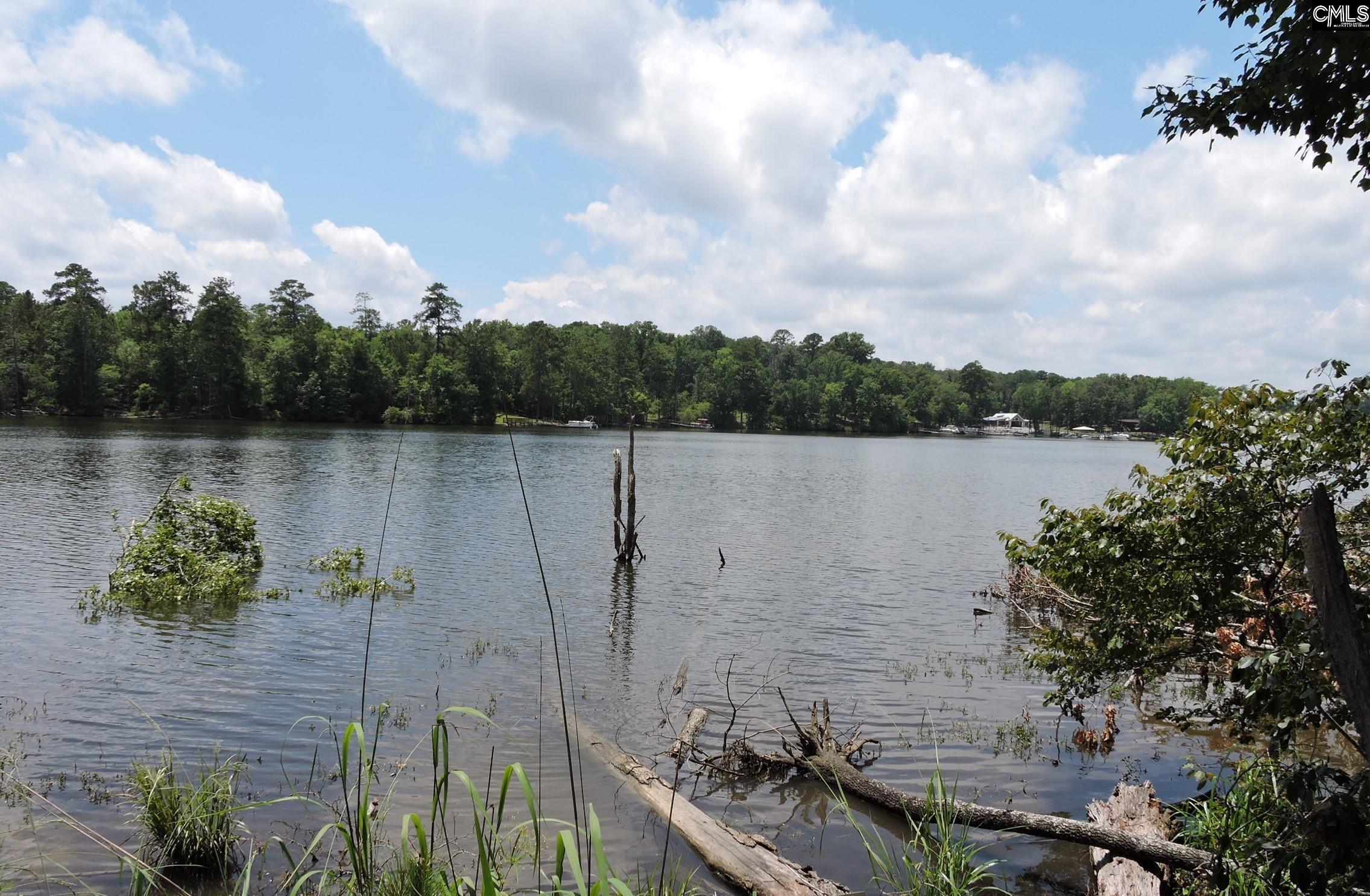 TBD Hawley Creek Prosperity, SC 29127