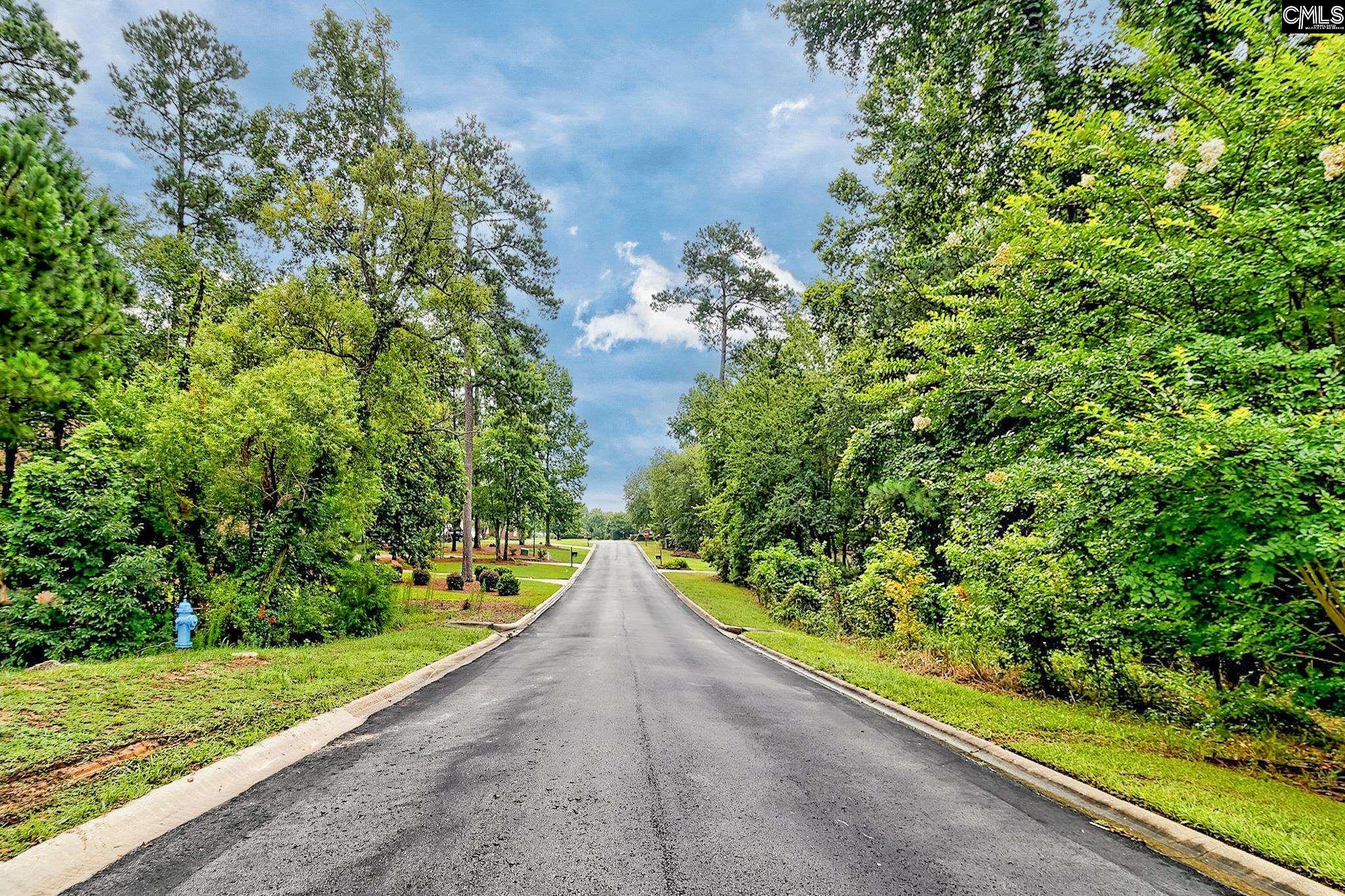Kelsey Glen Drive Lexington, SC 29072