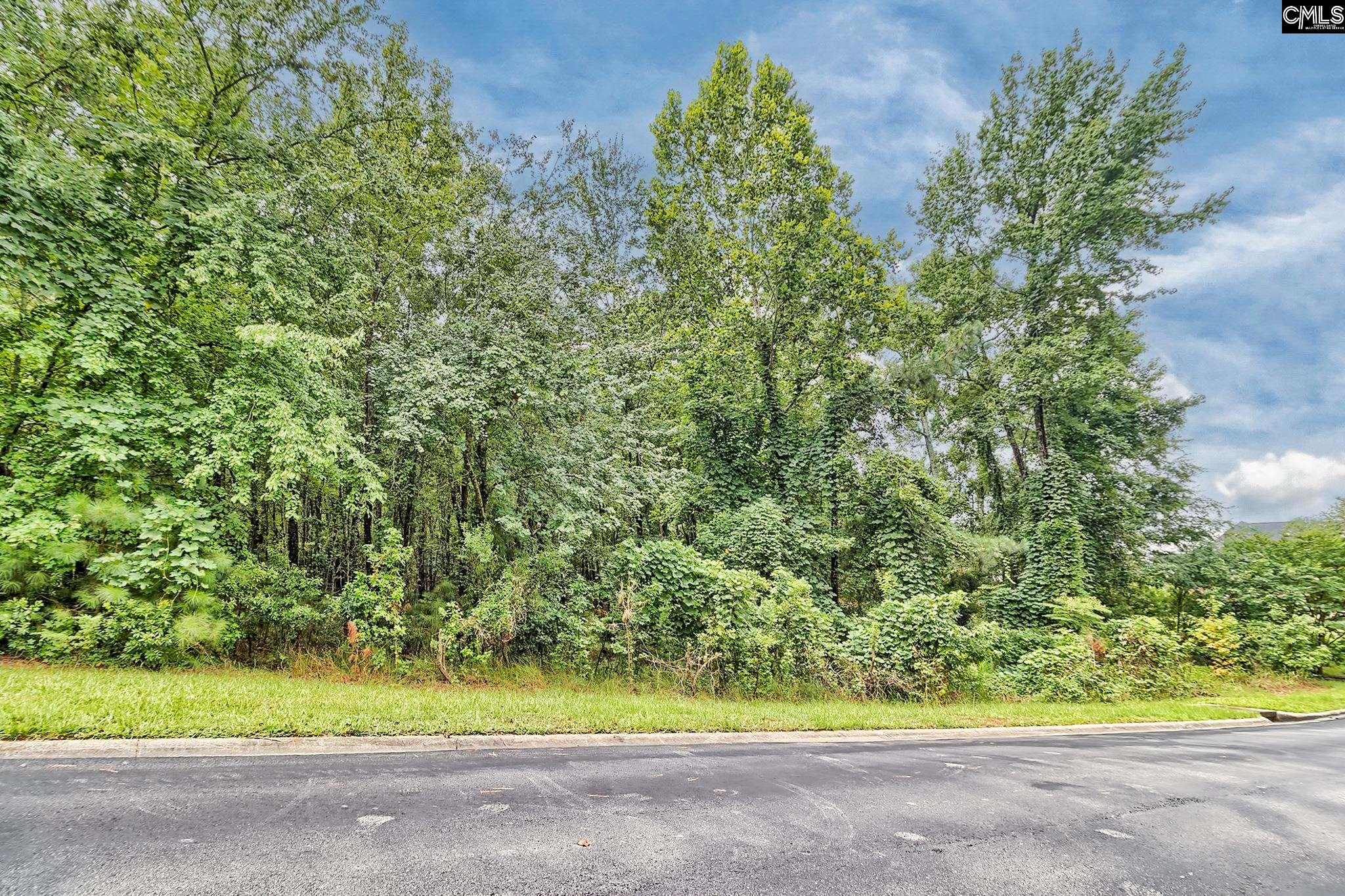 Kelsey Glen Drive Lexington, SC 29072