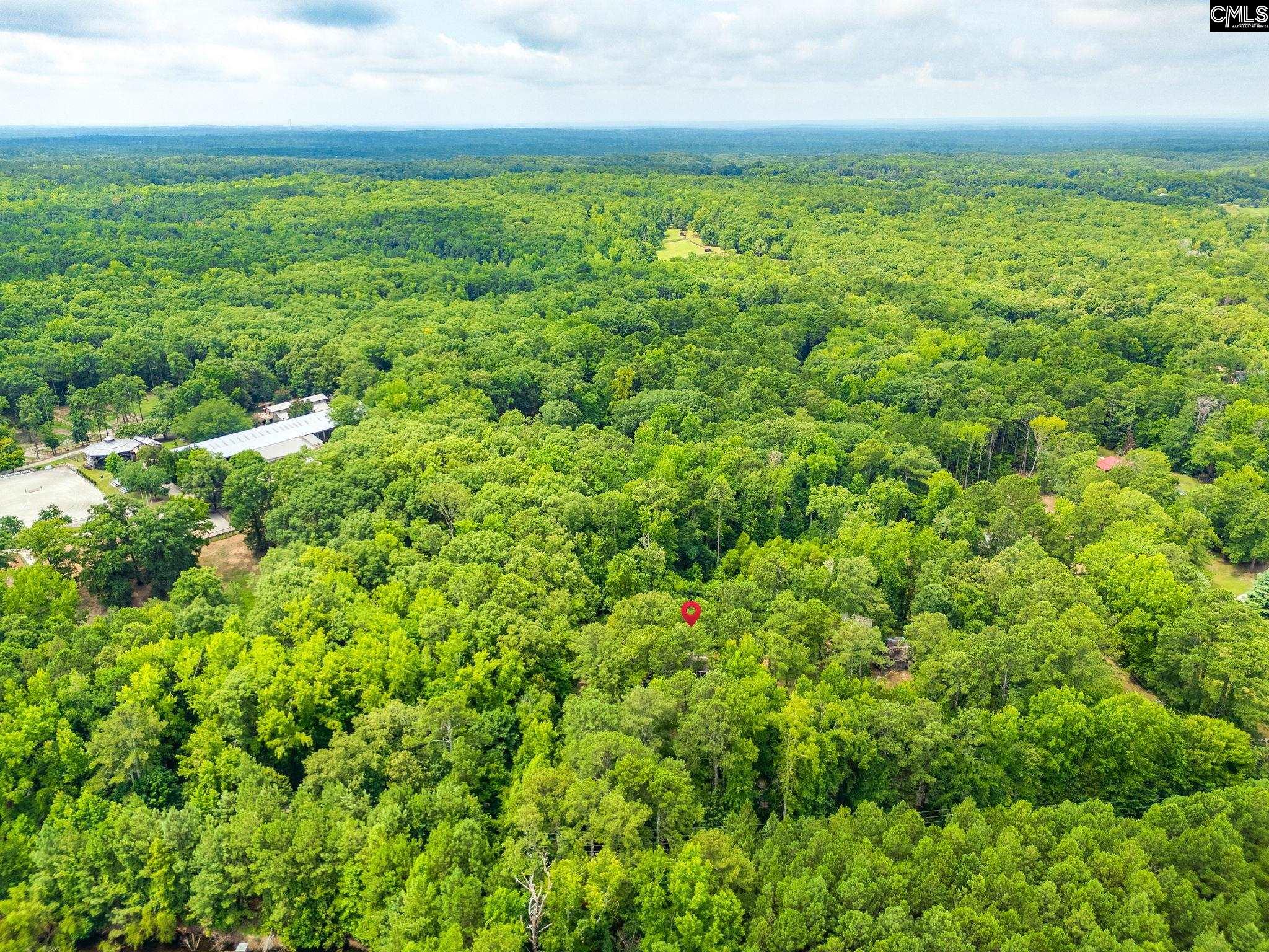 1253 Syrup Mill Road, Blythewood, South Carolina image 46