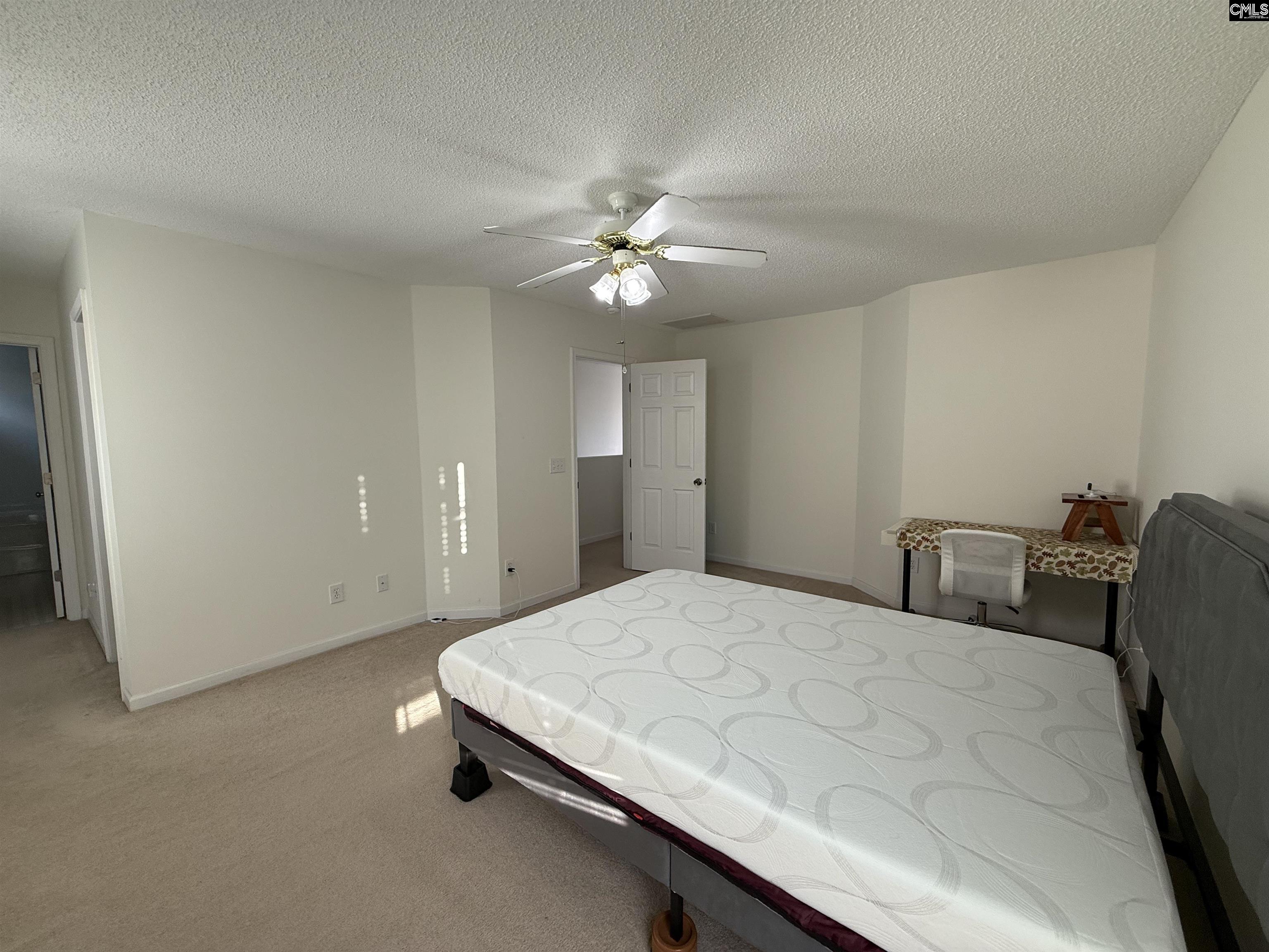 217 Branchview Dr Columbia, SC 29229