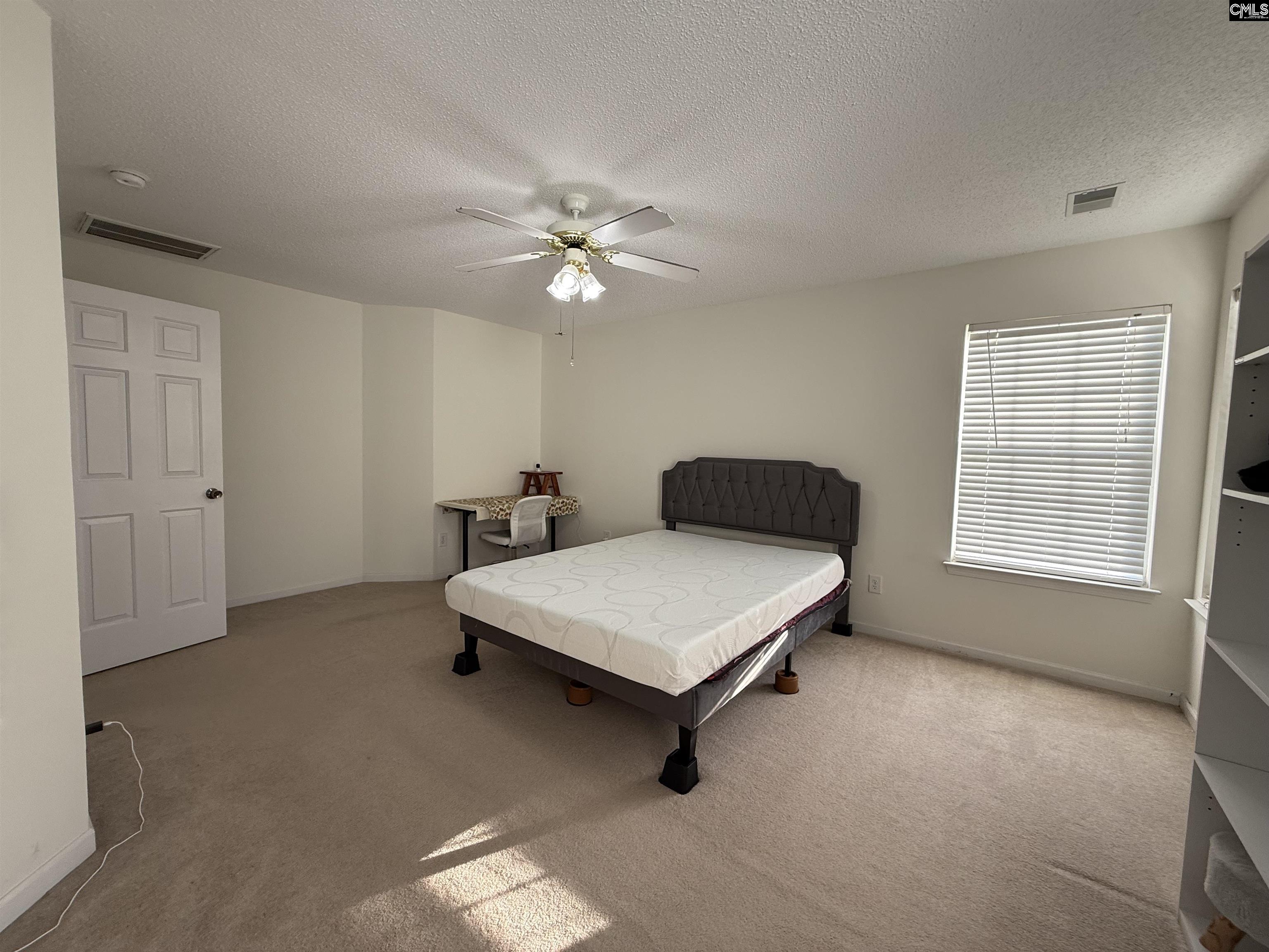 217 Branchview Dr Columbia, SC 29229