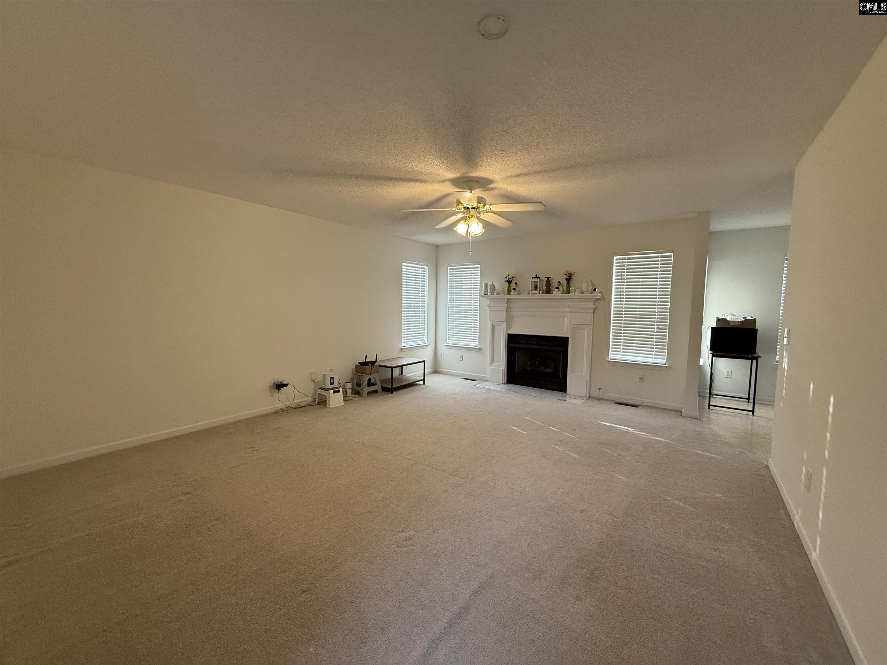 217 Branchview Dr Columbia, SC 29229