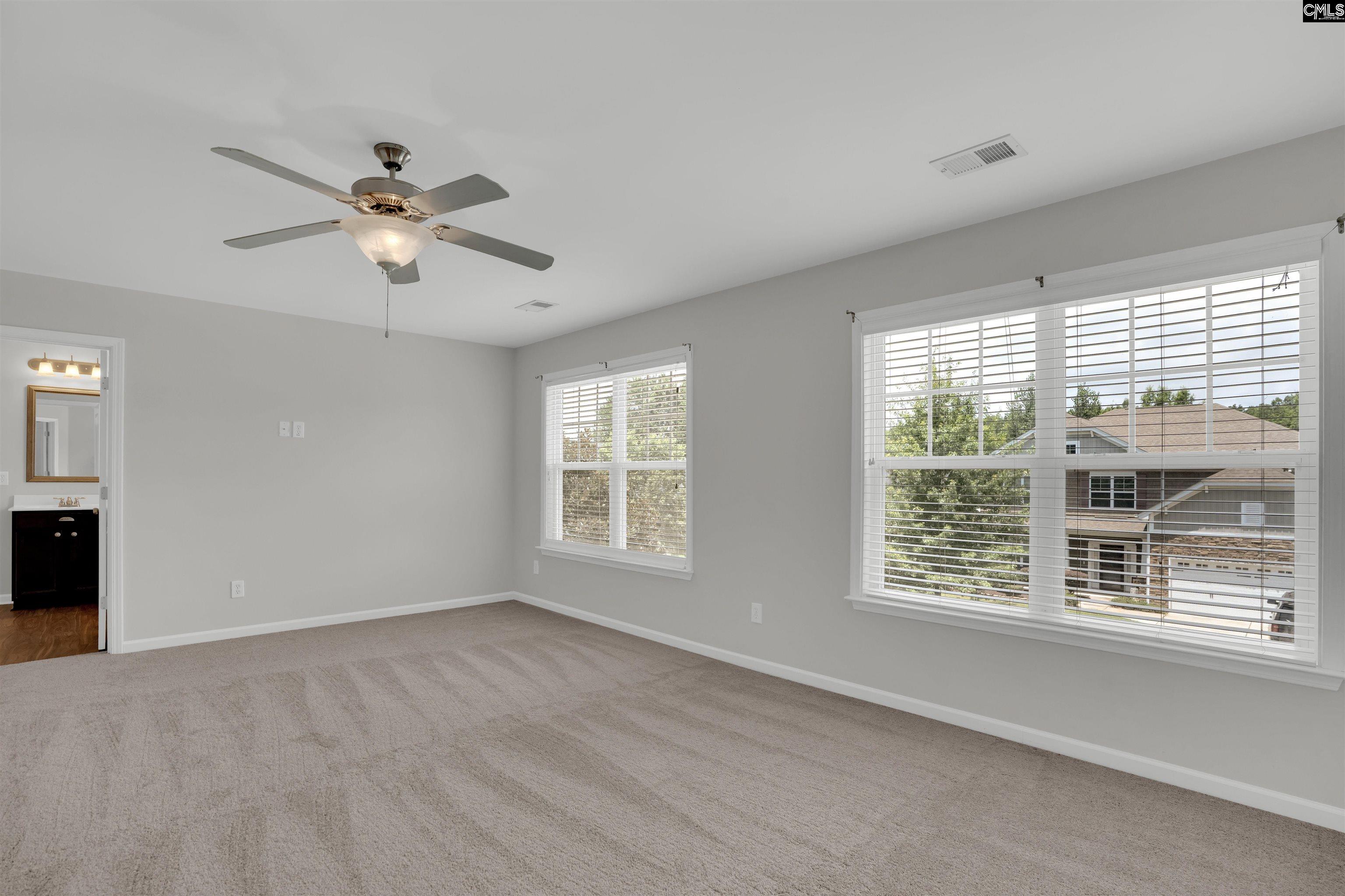 160 Wingspan, Chapin, South Carolina image 17
