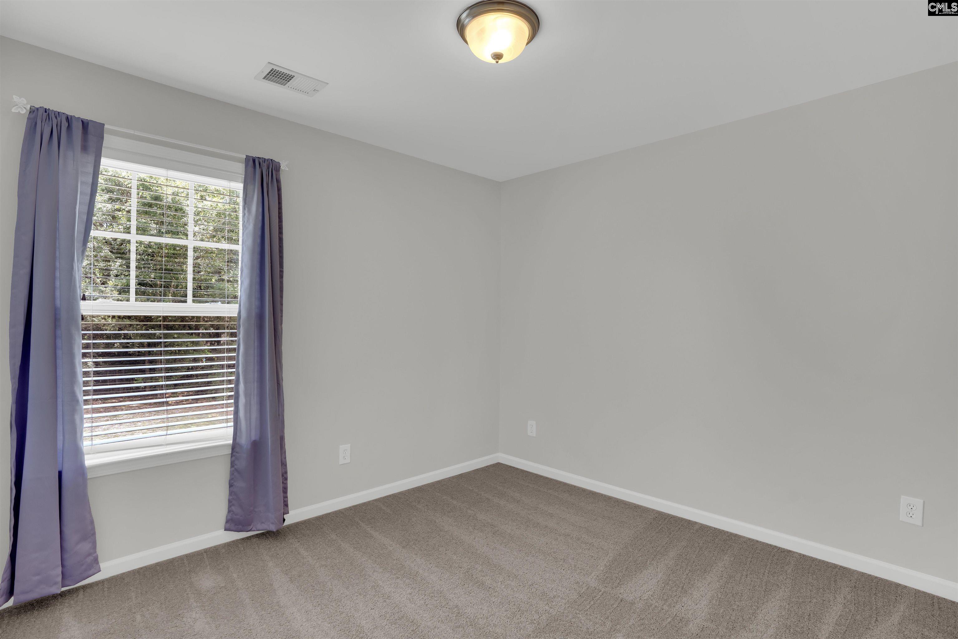 160 Wingspan, Chapin, South Carolina image 24