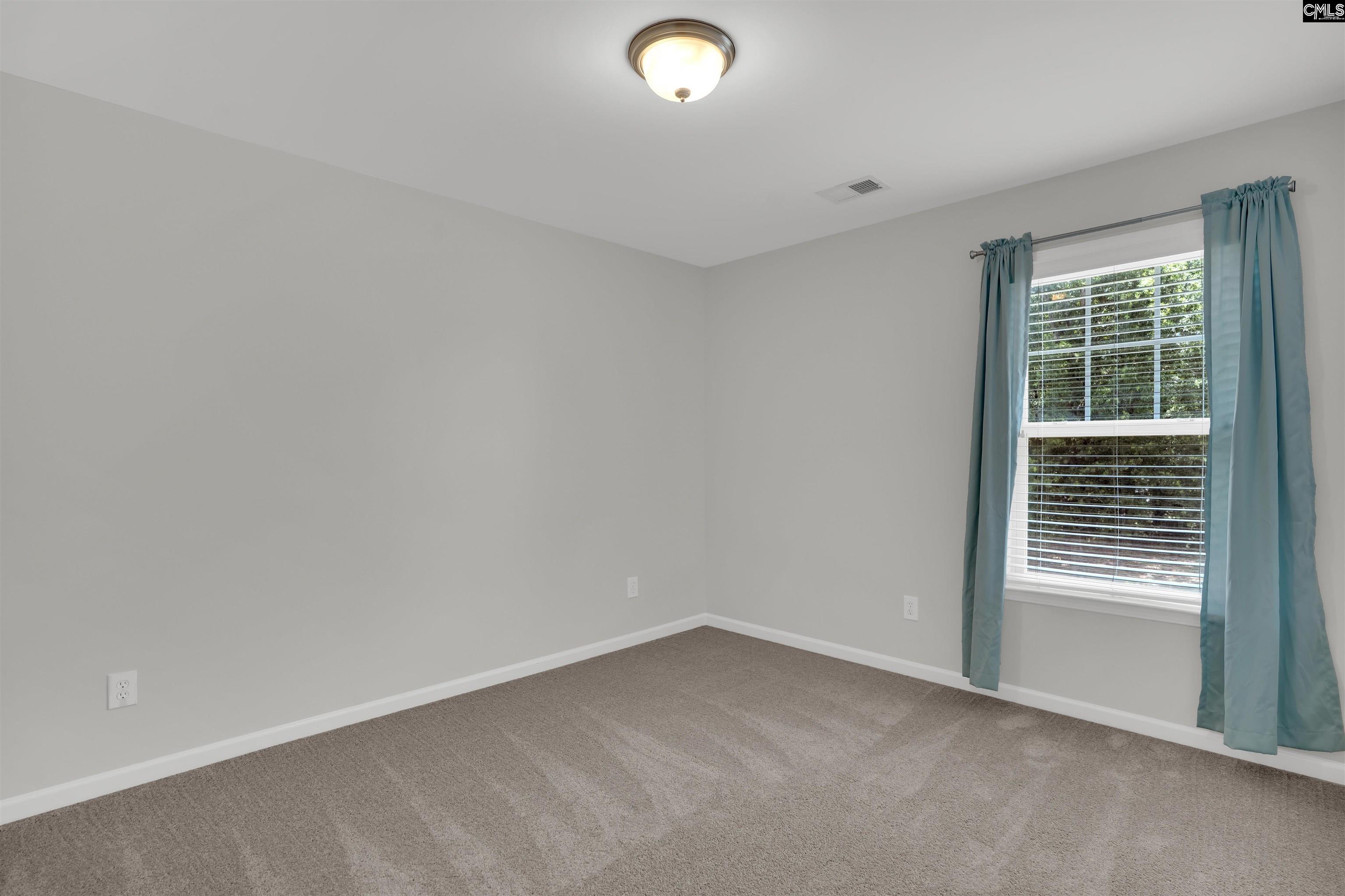 160 Wingspan, Chapin, South Carolina image 26