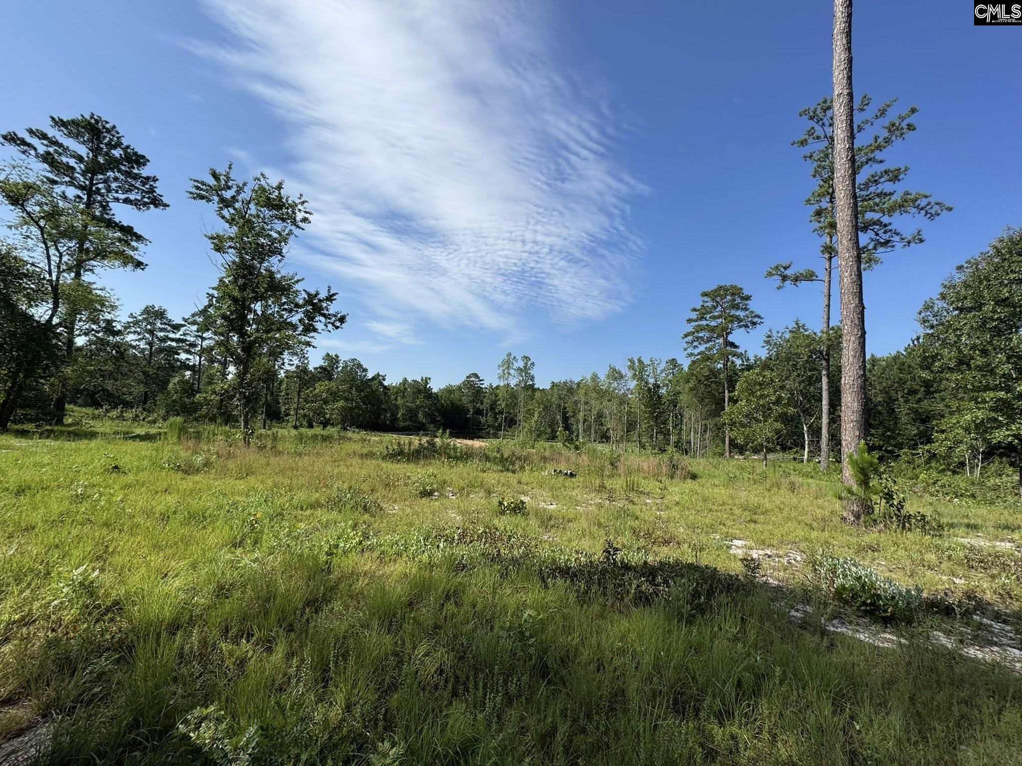 Bluefield Road Lexington, SC 29073