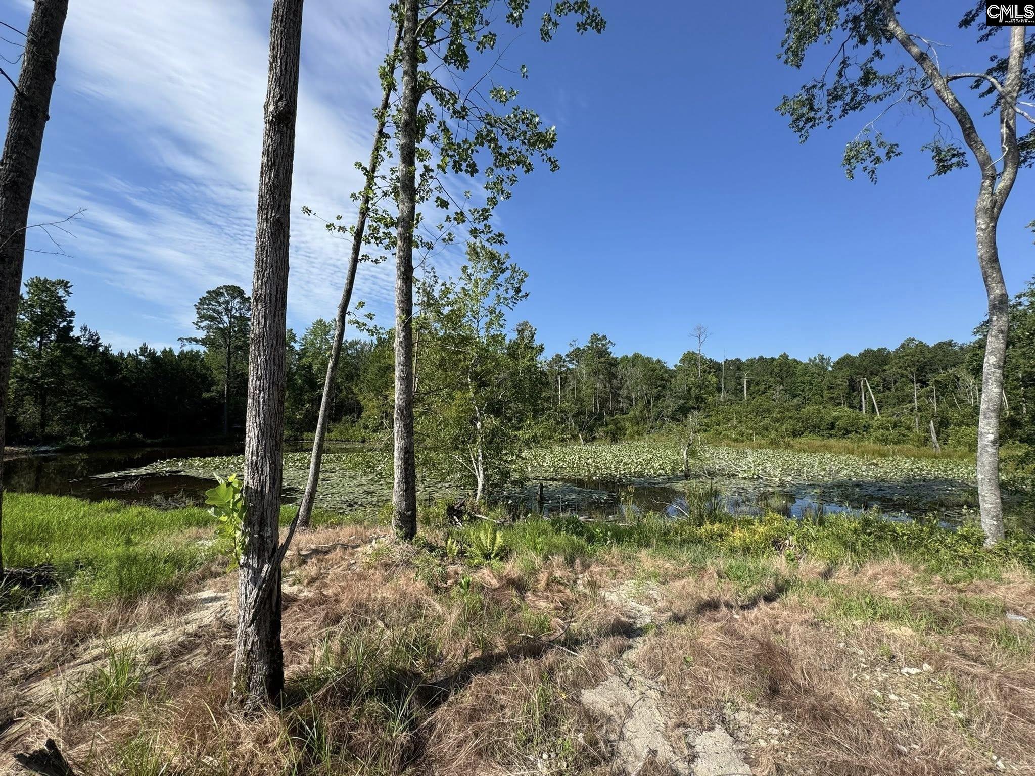 Bluefield Road Lexington, SC 29073