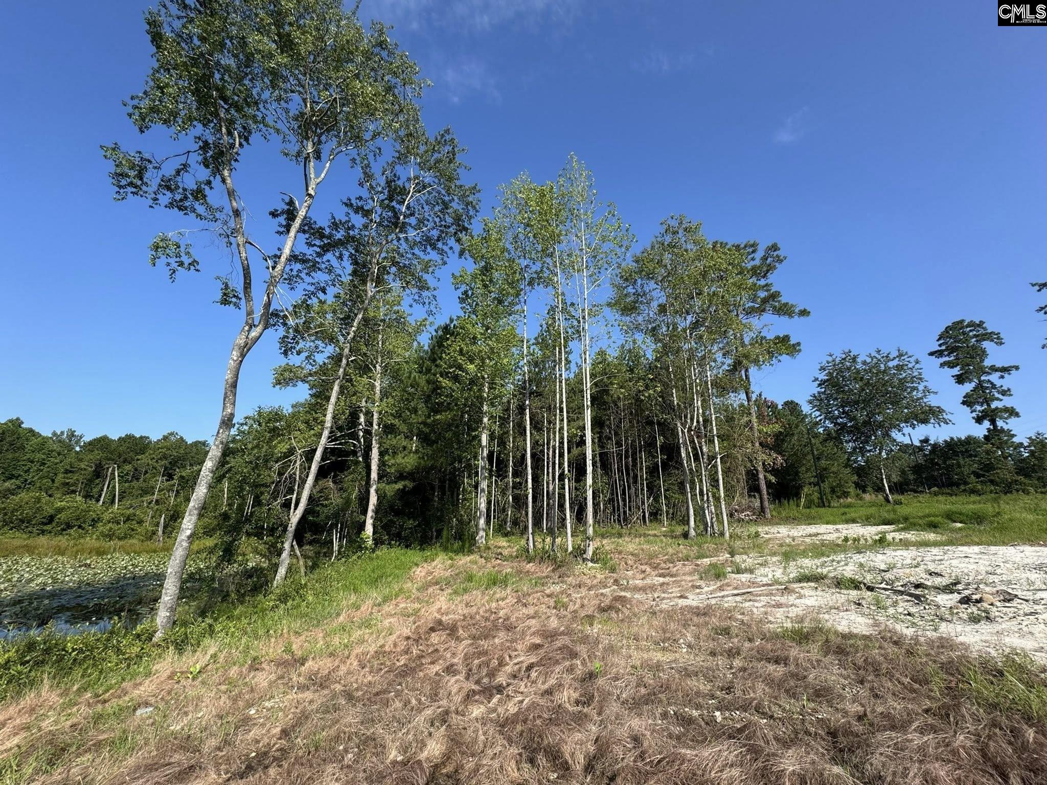Bluefield Road Lexington, SC 29073