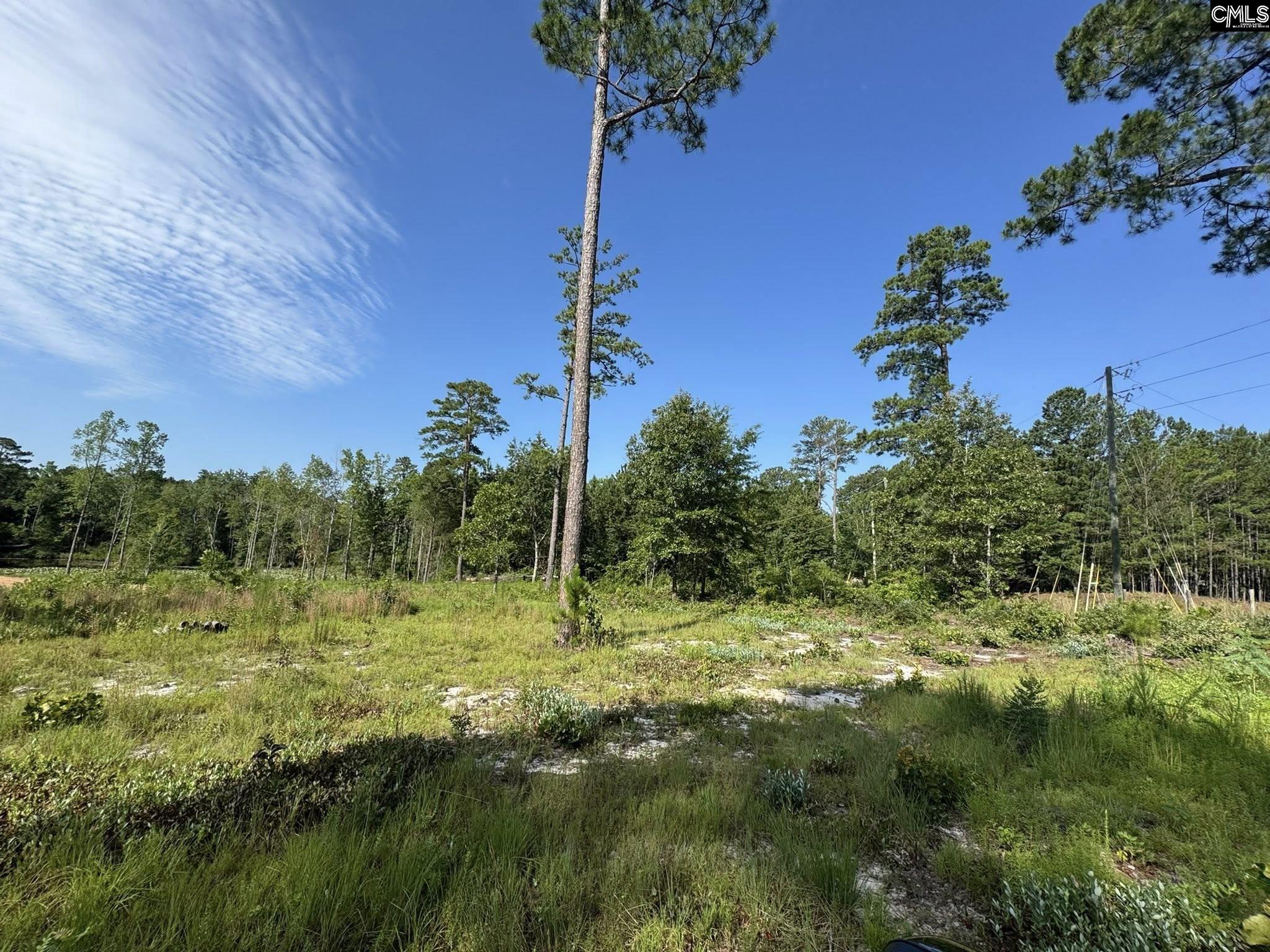 Bluefield Road Lexington, SC 29073
