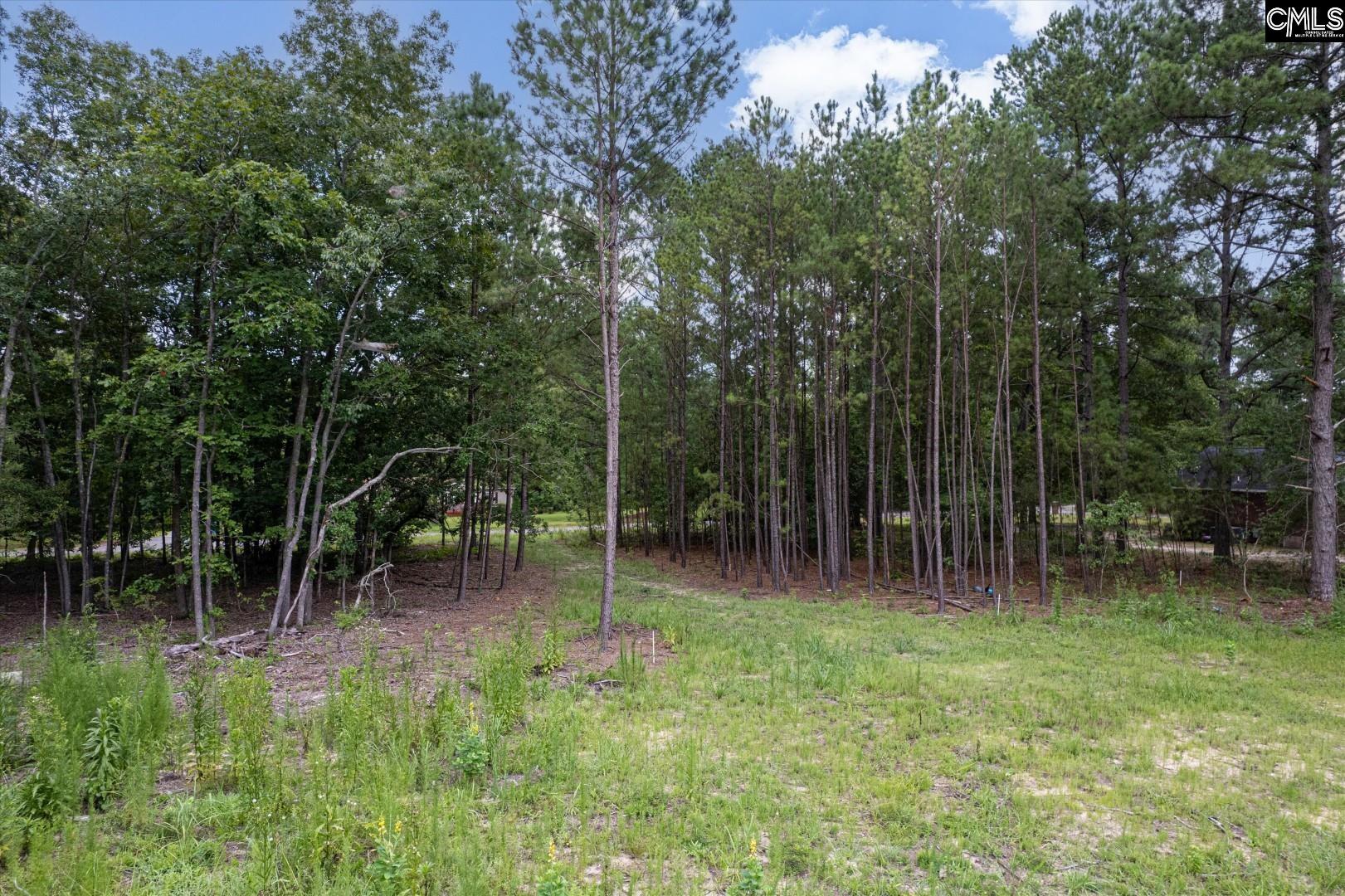 1027 Hezekiah Road, Eastover, South Carolina image 11
