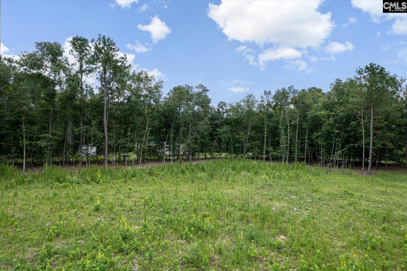 1027 Hezekiah Road, Eastover, South Carolina image 12