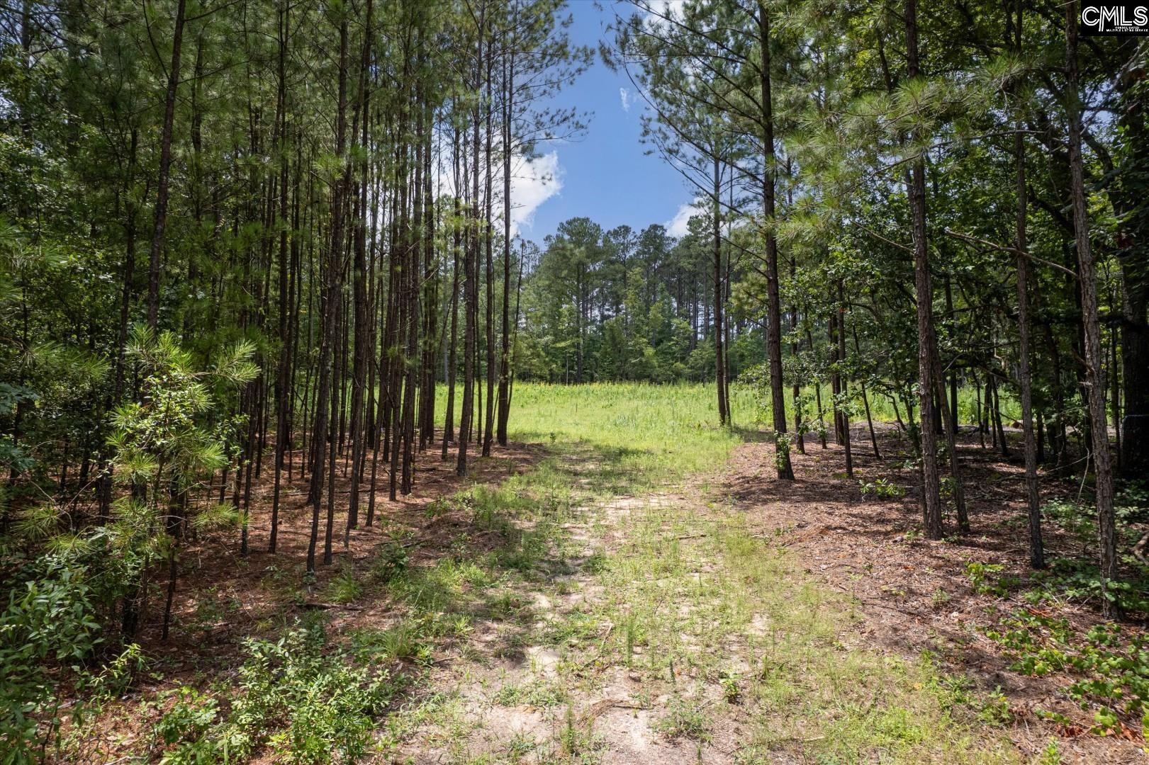 1027 Hezekiah Road, Eastover, South Carolina image 13