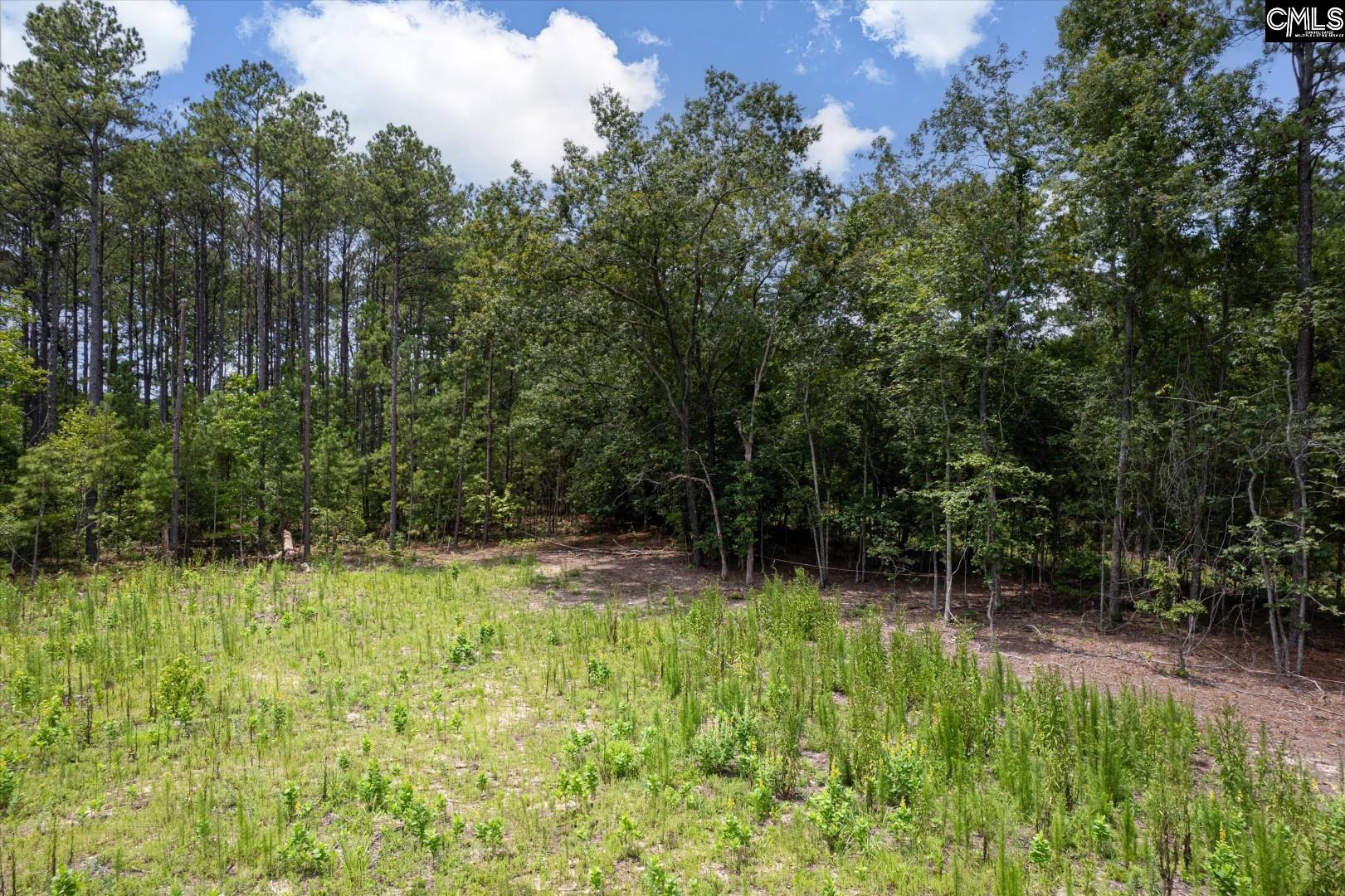 1027 Hezekiah Road, Eastover, South Carolina image 14