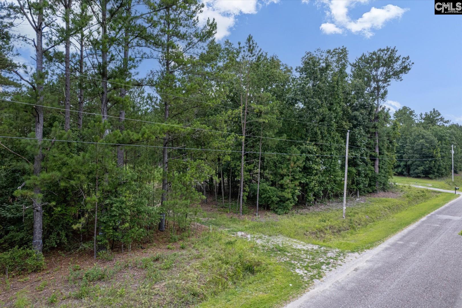 1027 Hezekiah Road, Eastover, South Carolina image 3