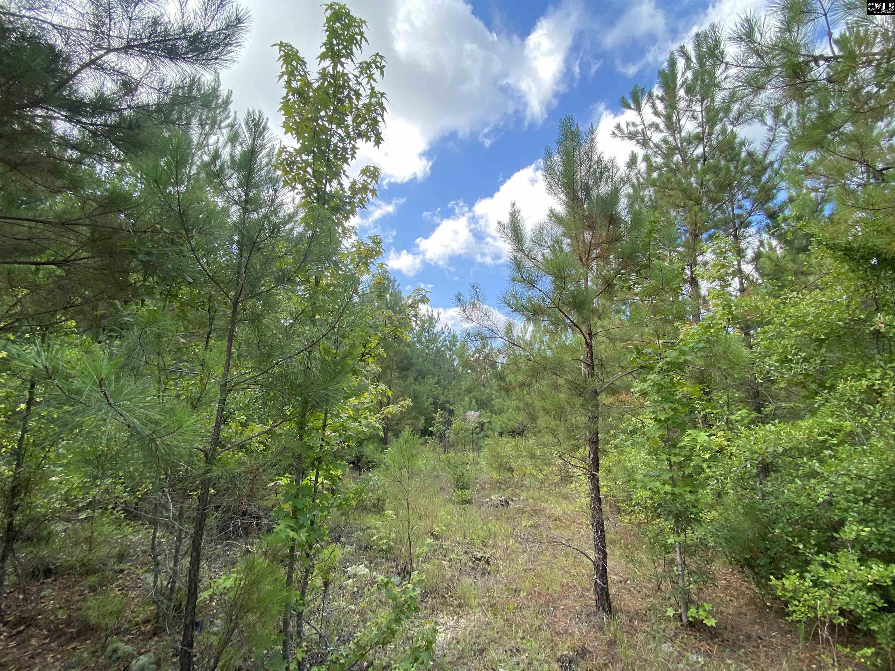 2327 Ridgeway Road Lugoff, SC 29072