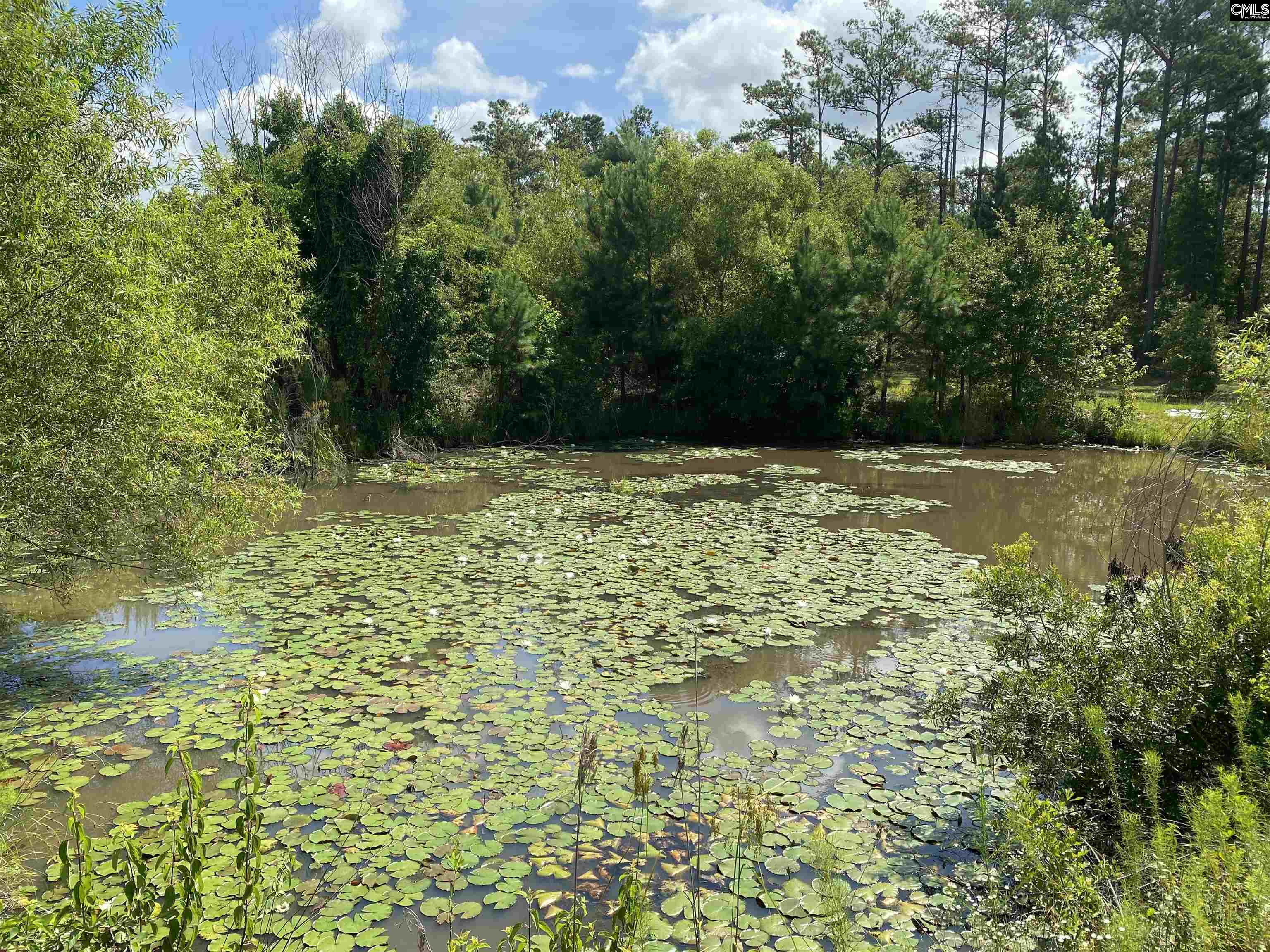 2327 Ridgeway Road Lugoff, SC 29072