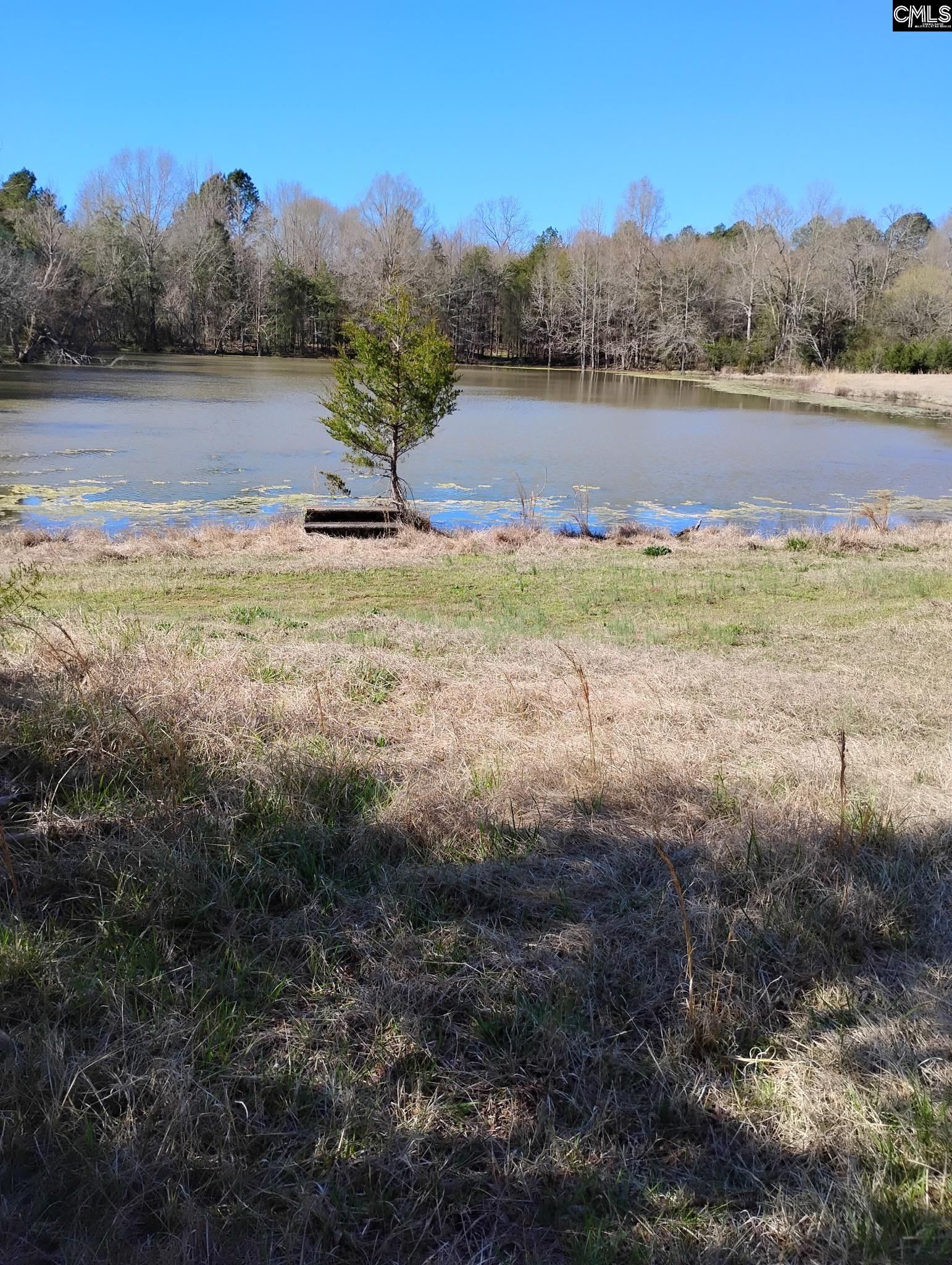 869 Meadowbrook Road, Chesterfield, South Carolina image 3