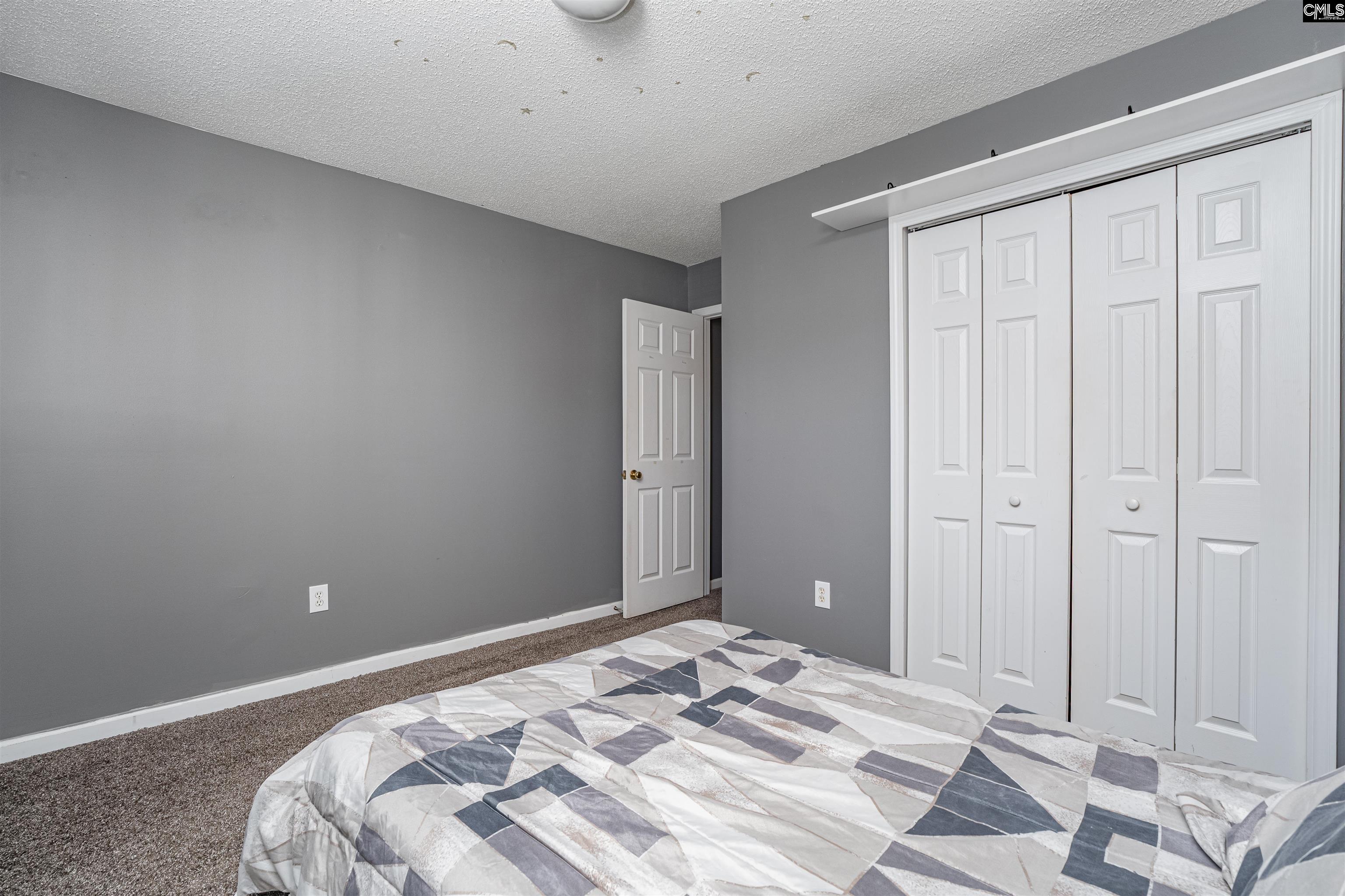 313 Beltrees Drive, Lexington, South Carolina image 25