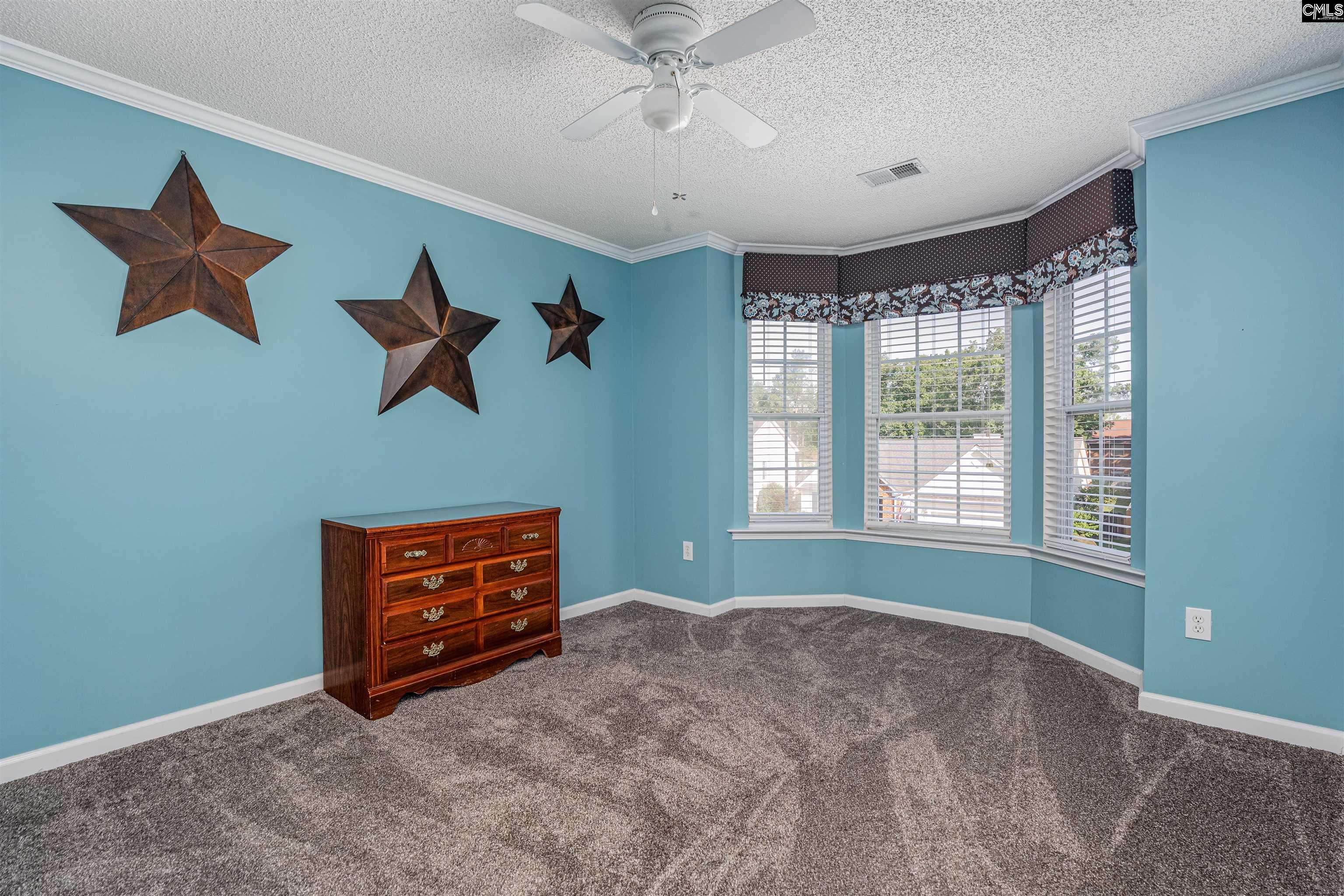 313 Beltrees Drive, Lexington, South Carolina image 26
