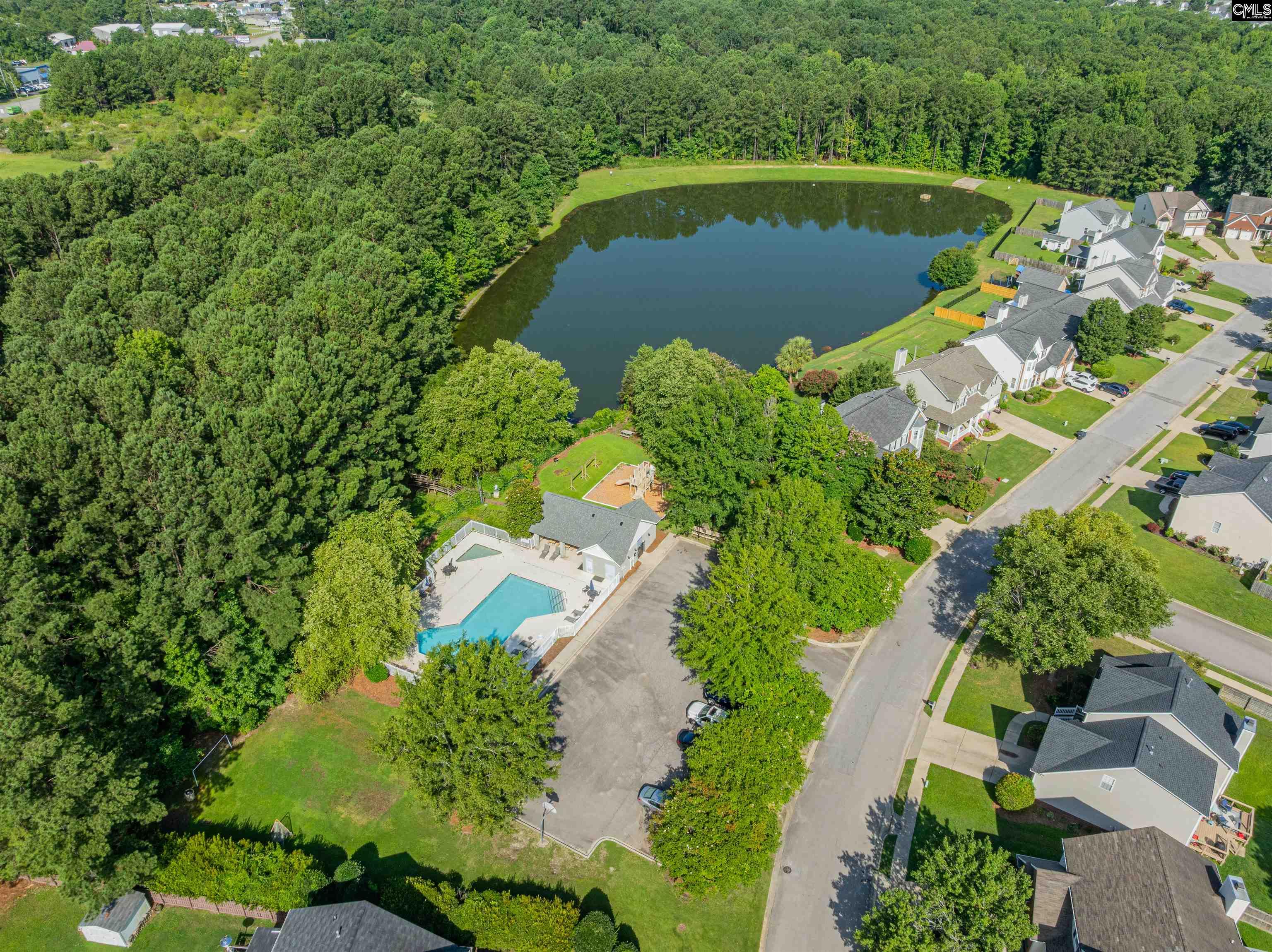 313 Beltrees Drive, Lexington, South Carolina image 38