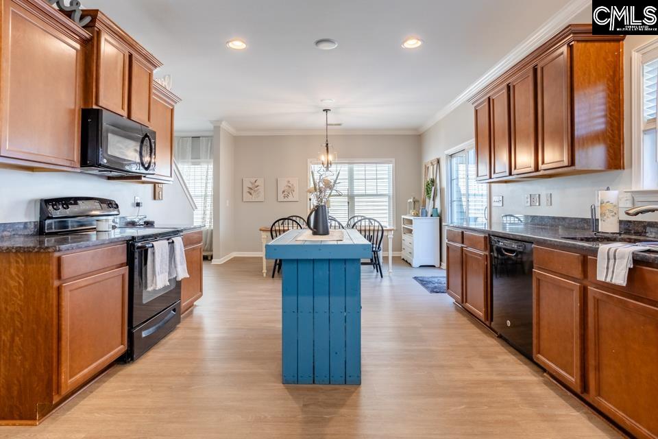 233 Jackstay Court Chapin, SC 29036