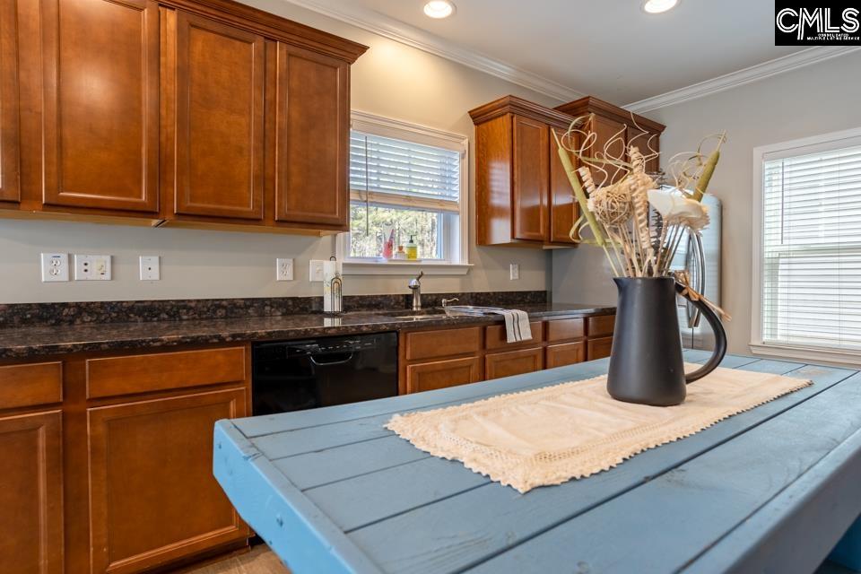 233 Jackstay Court Chapin, SC 29036