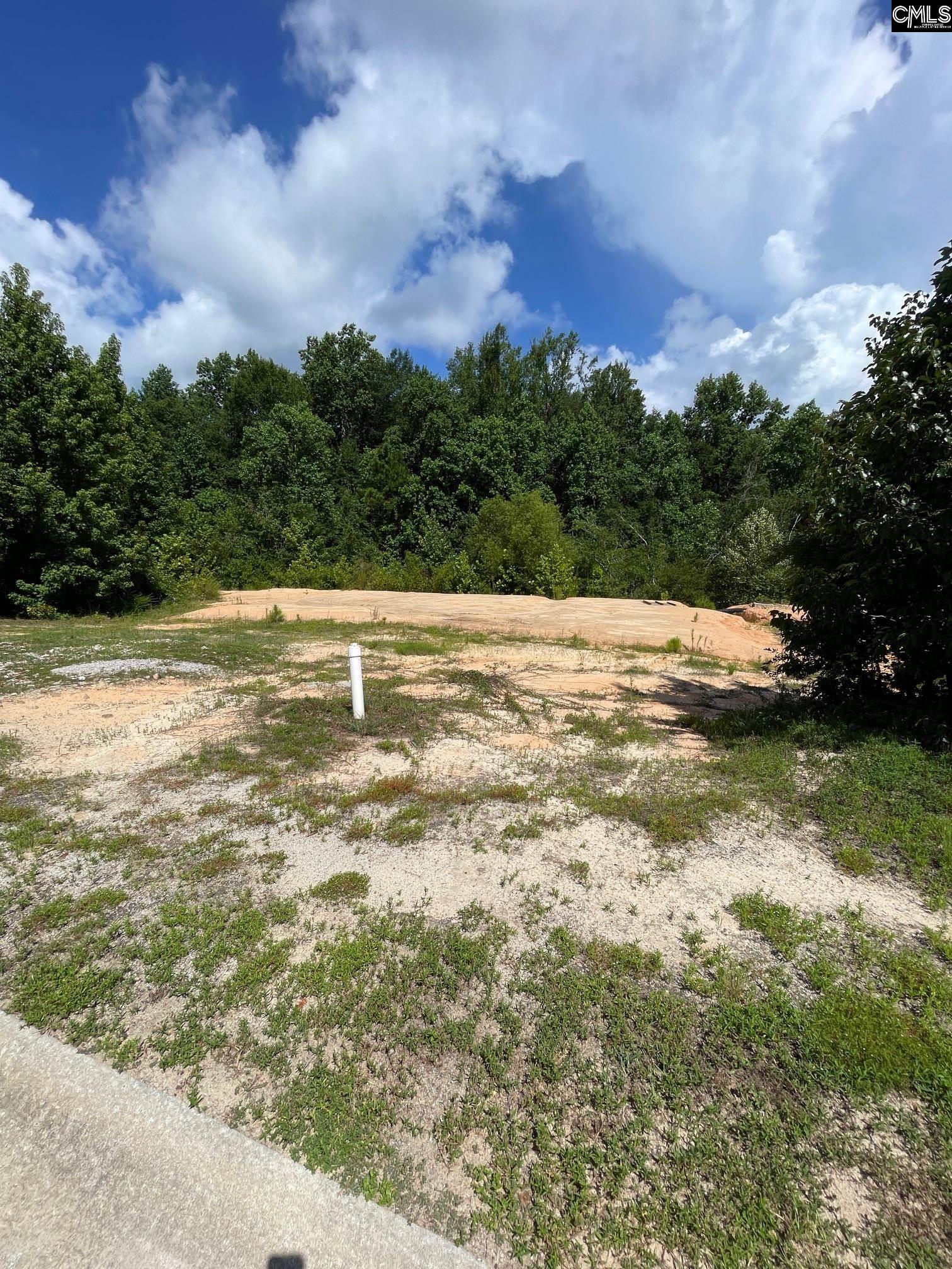 51 Edinburgh Castle Lane Unit #84 Camden, SC 29020