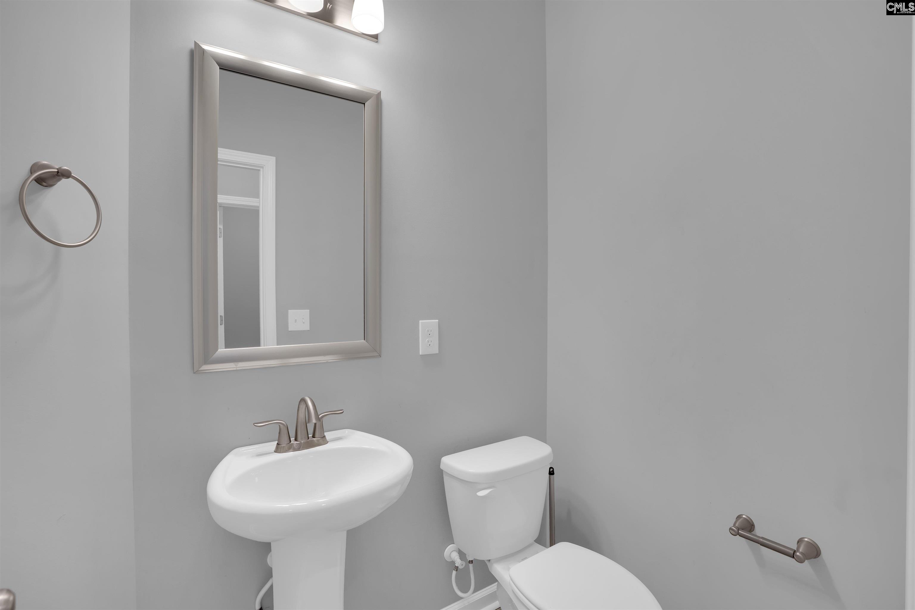1332 Tamarind Lane Chapin, SC 29036
