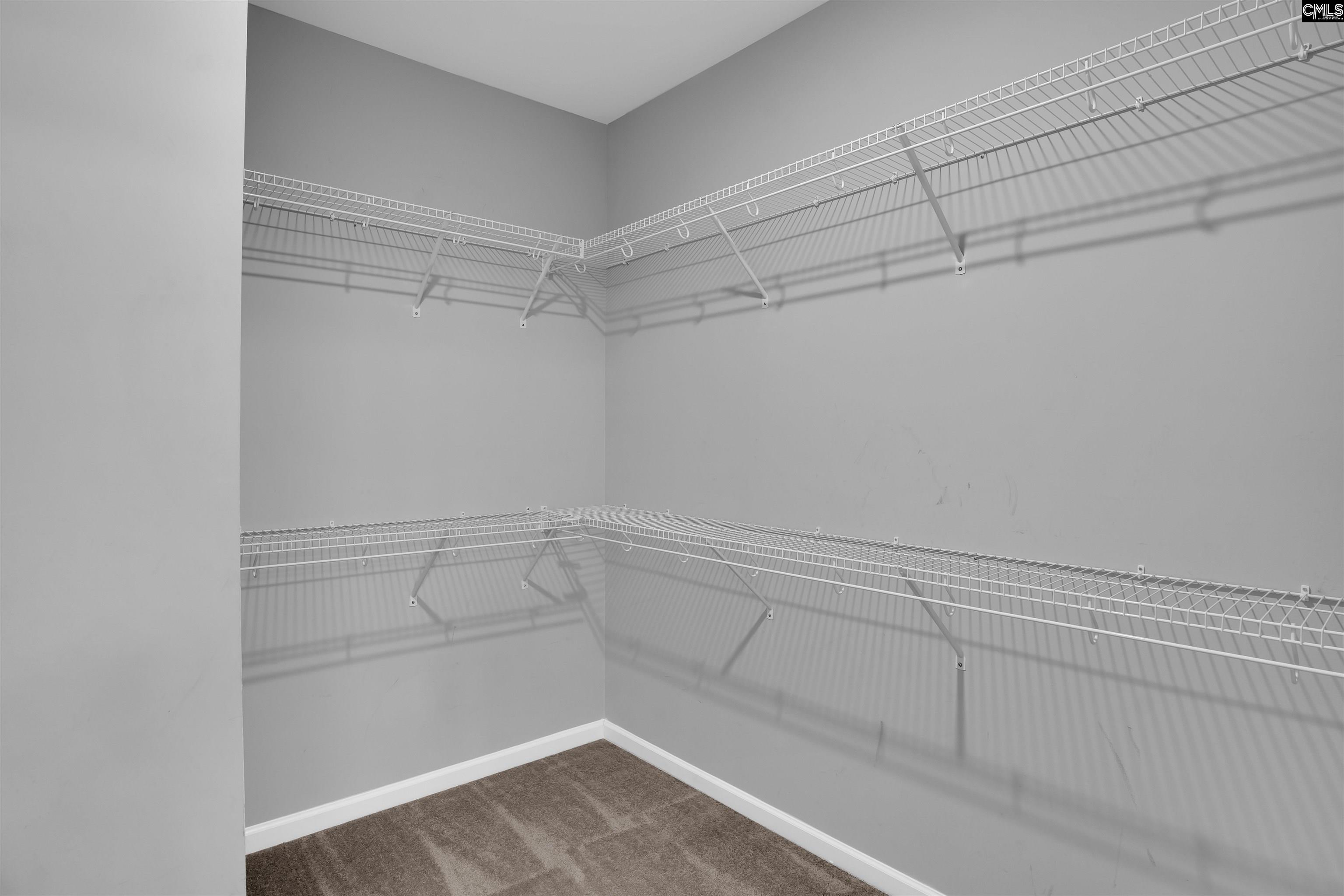1332 Tamarind Lane Chapin, SC 29036
