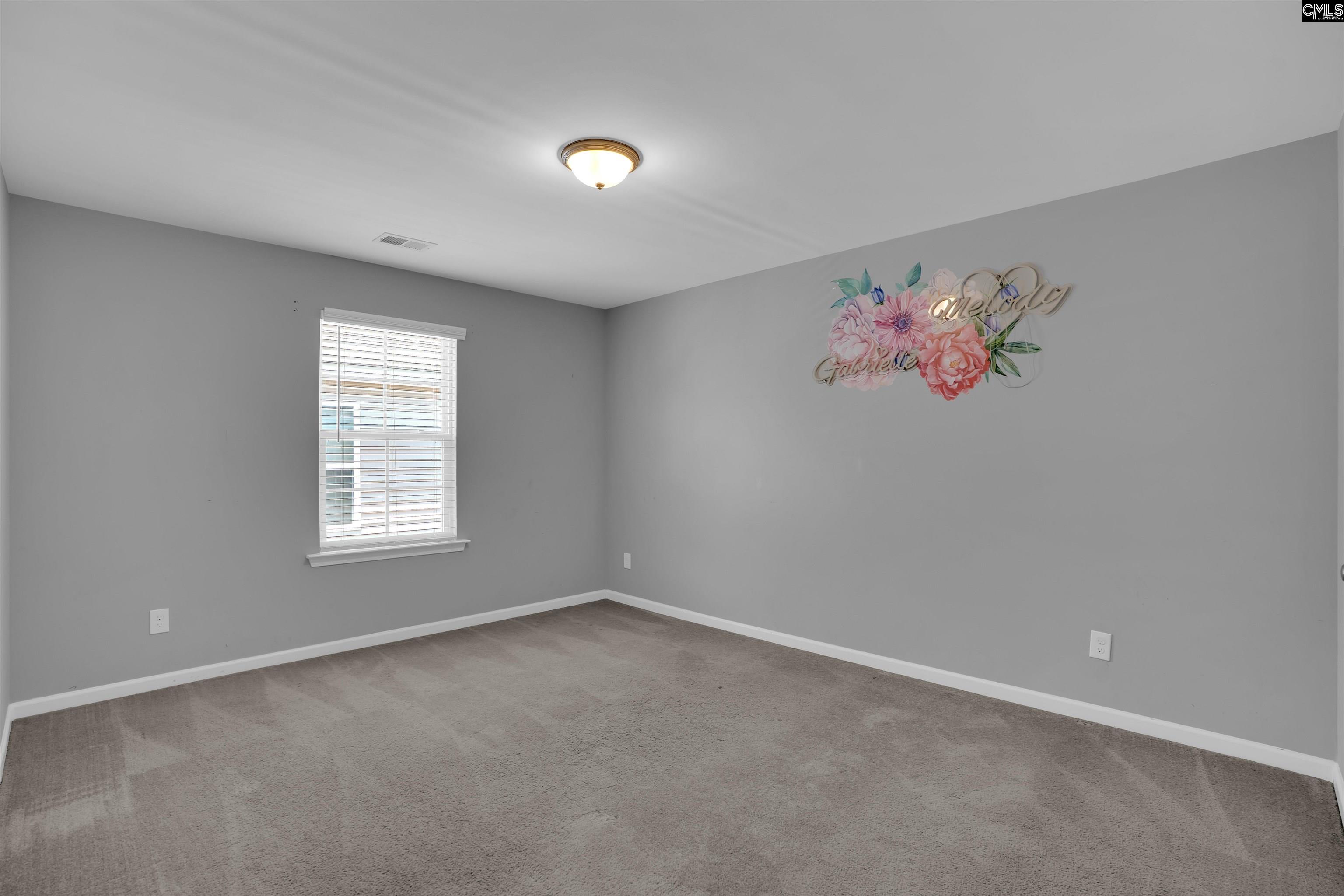 1332 Tamarind Lane Chapin, SC 29036