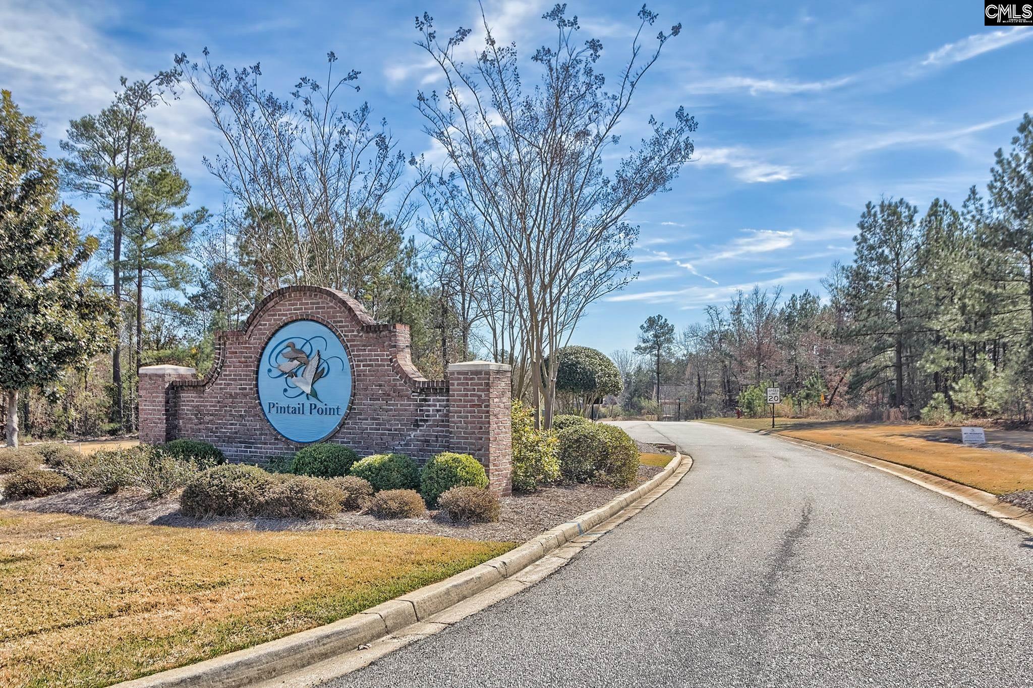 206 Green Wing Court Gilbert, SC 29054