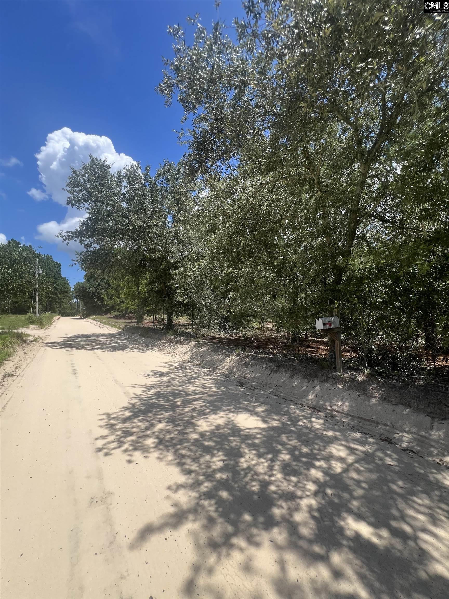 Cassie Road Leesville, SC 29070