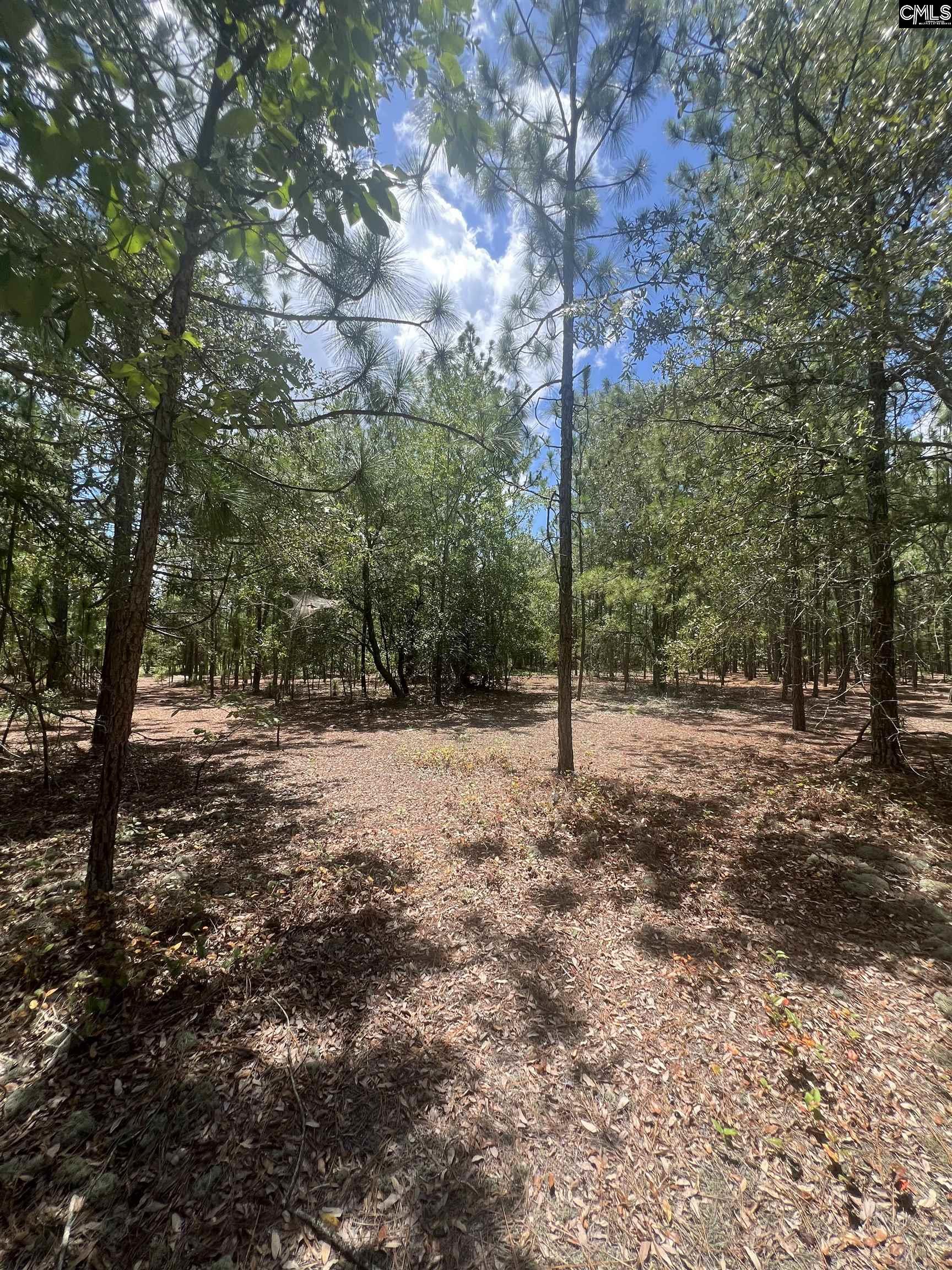 Cassie Road Leesville, SC 29070