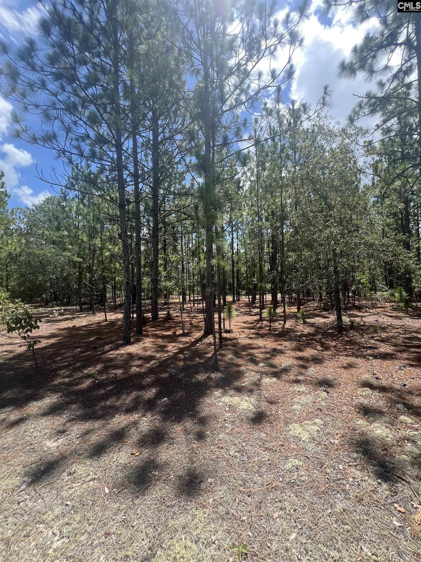 Cassie Road Leesville, SC 29070
