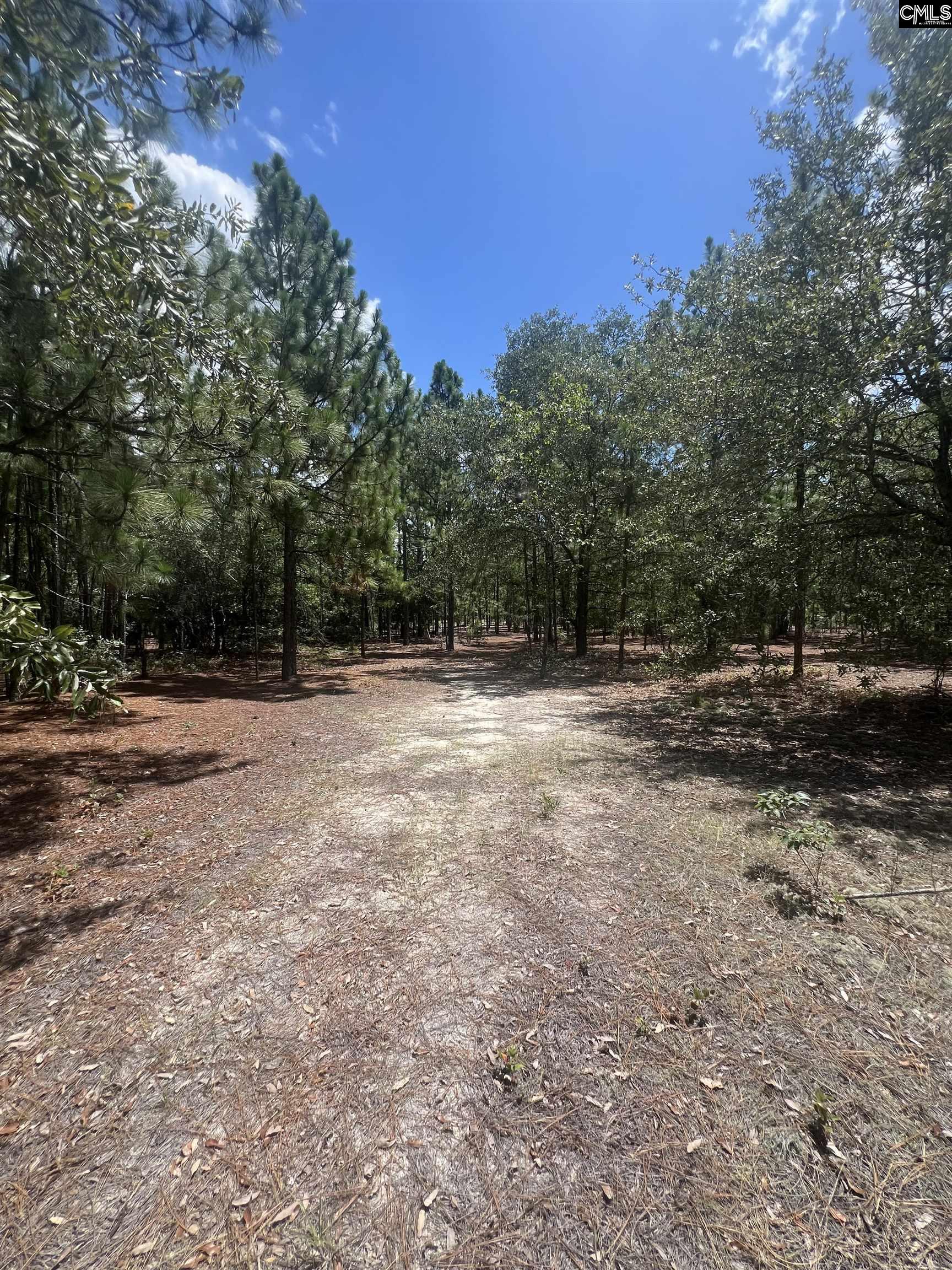 Cassie Road Leesville, SC 29070