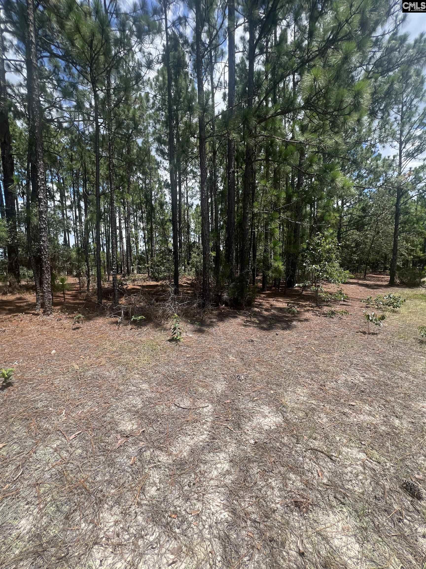 Cassie Road Leesville, SC 29070