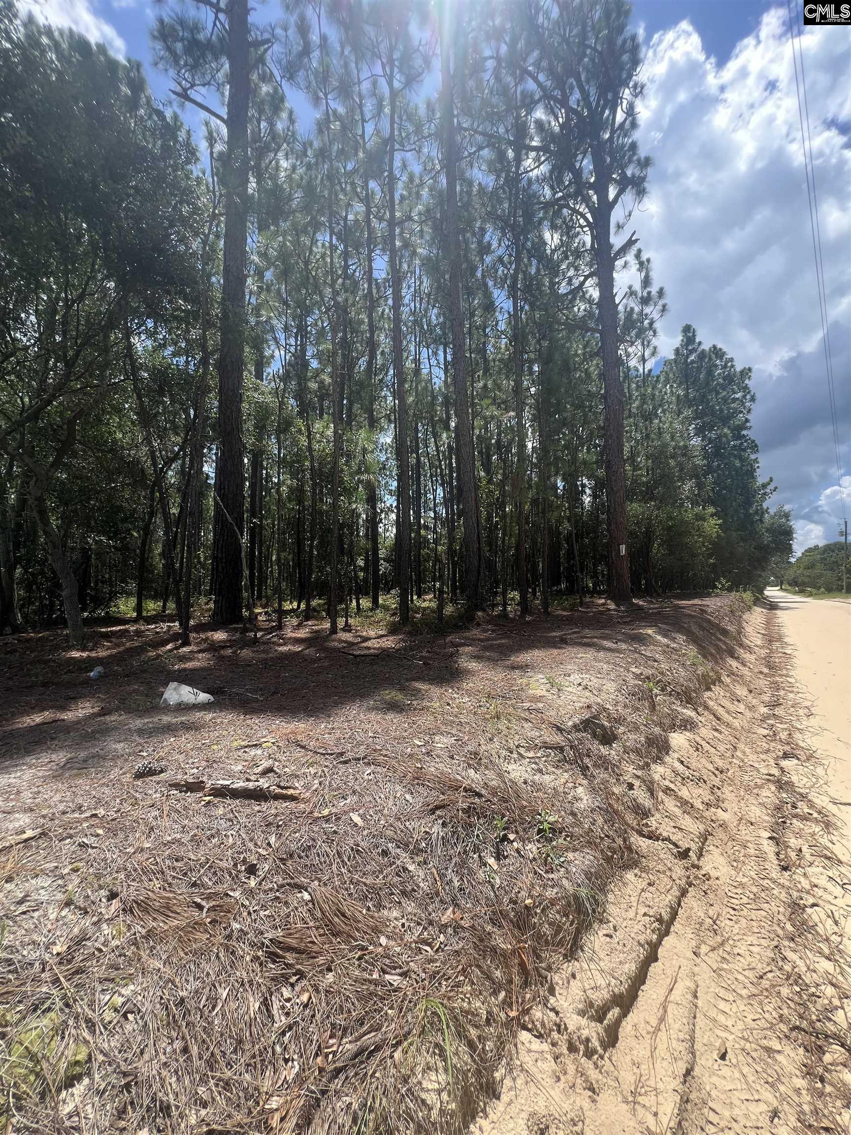 Cassie Road Leesville, SC 29070