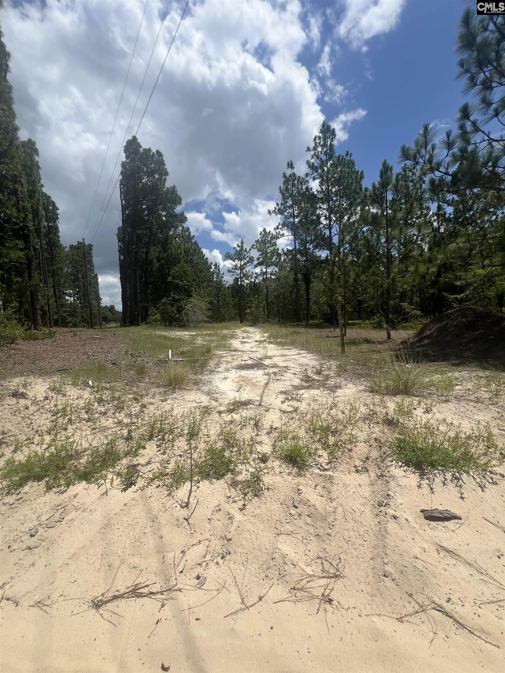 Cassie Road Leesville, SC 29070