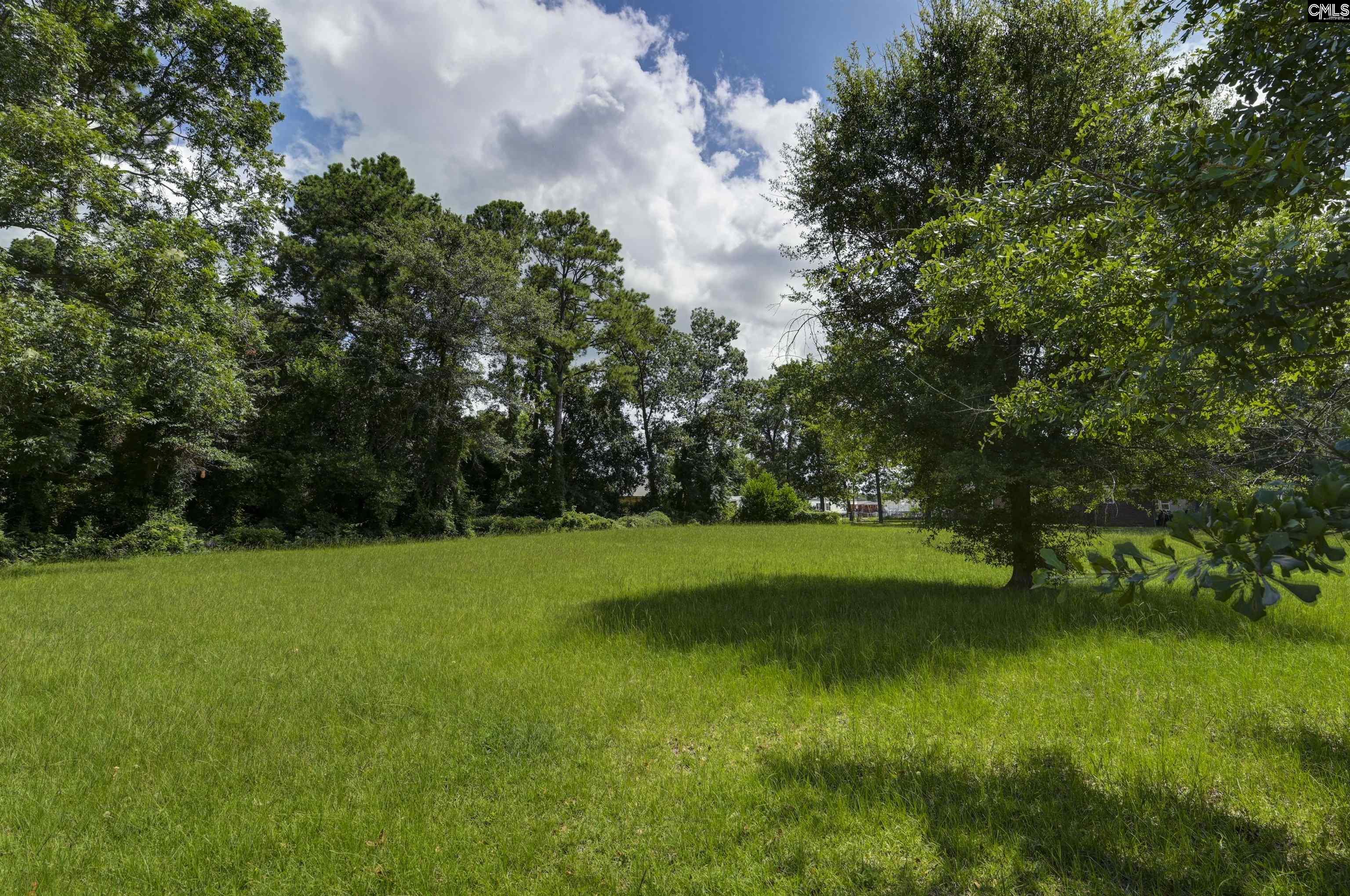 200 Waterloo Drive, Lexington, South Carolina image 4