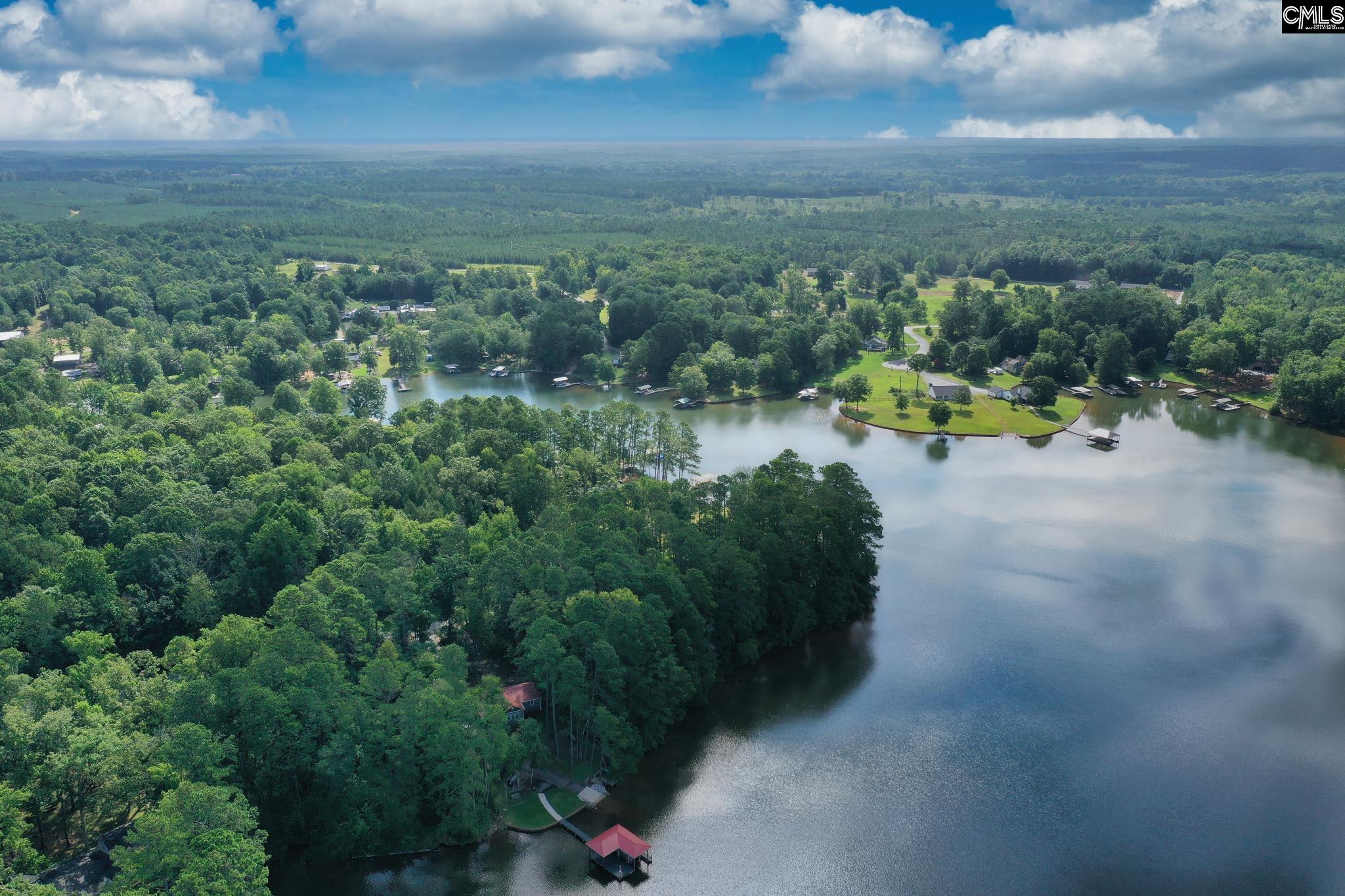 TBD Hollaway Cove Road, Chappells, South Carolina image 4