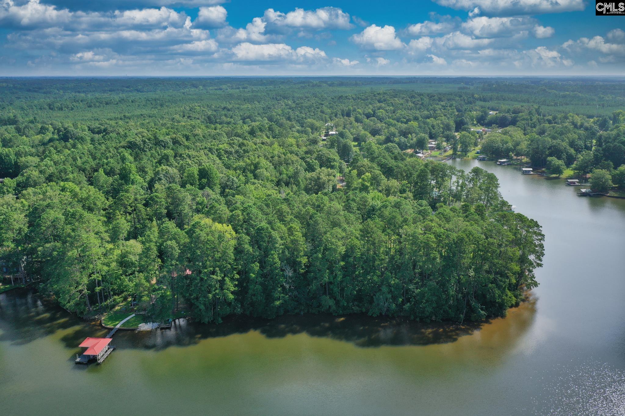TBD Hollaway Cove Road, Chappells, South Carolina image 10