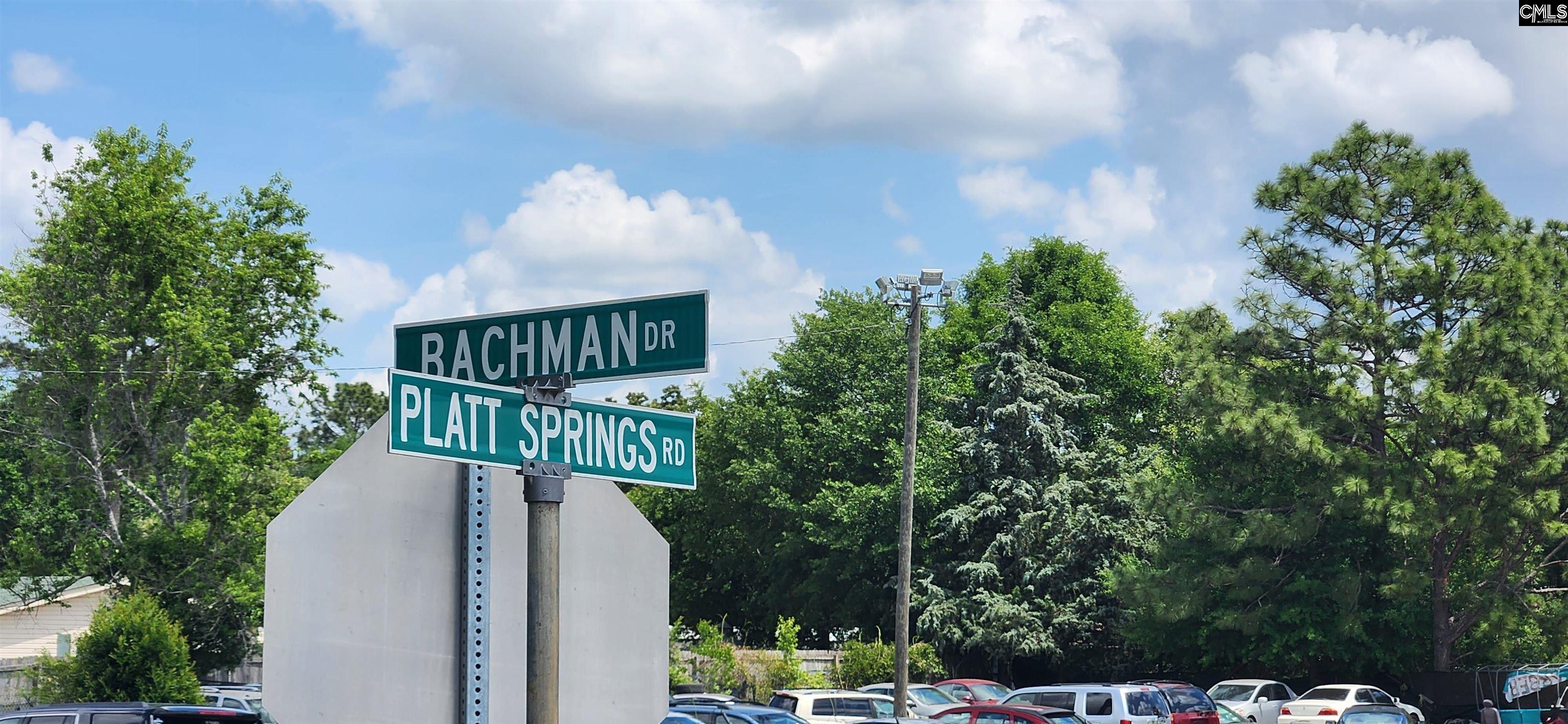 1116 Bachman Drive, Lexington, South Carolina image 2