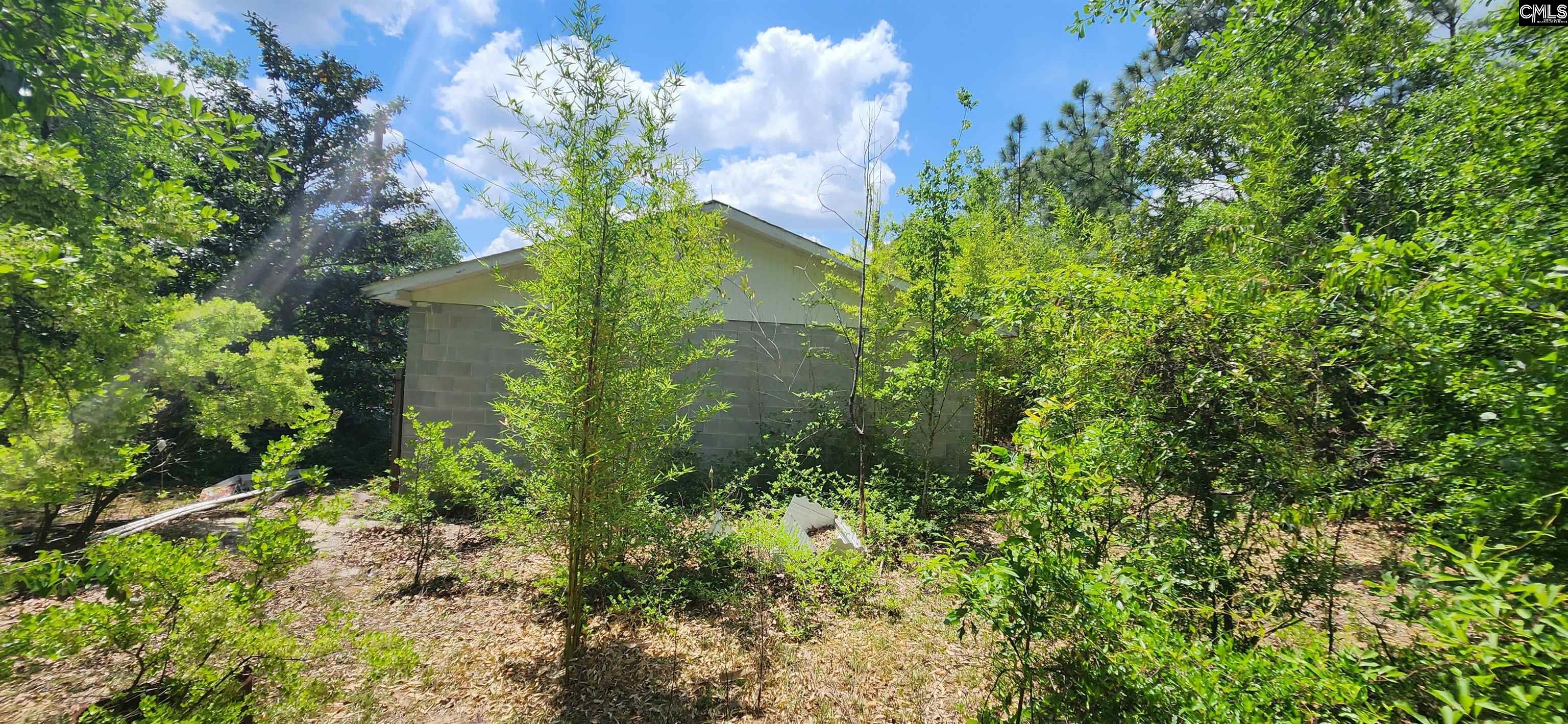 1116 Bachman Drive, Lexington, South Carolina image 11