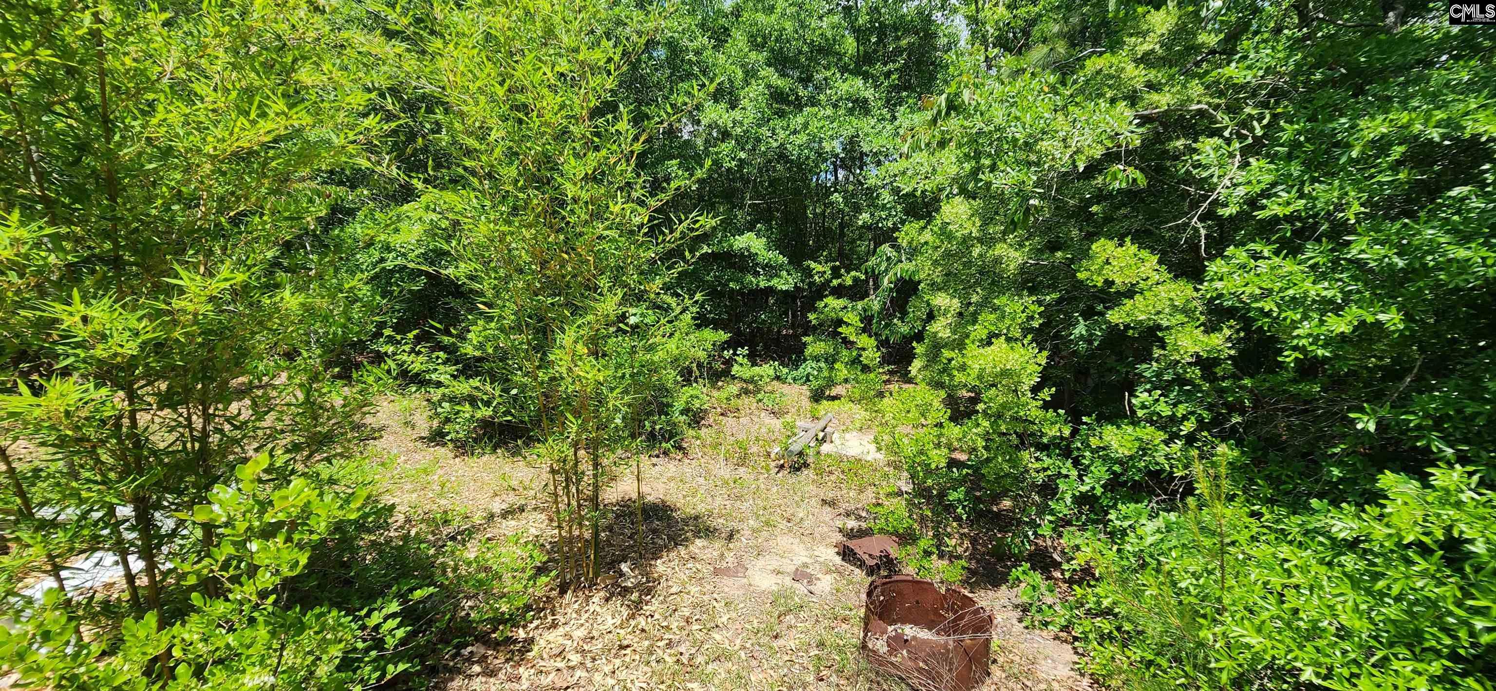 1116 Bachman Drive, Lexington, South Carolina image 19
