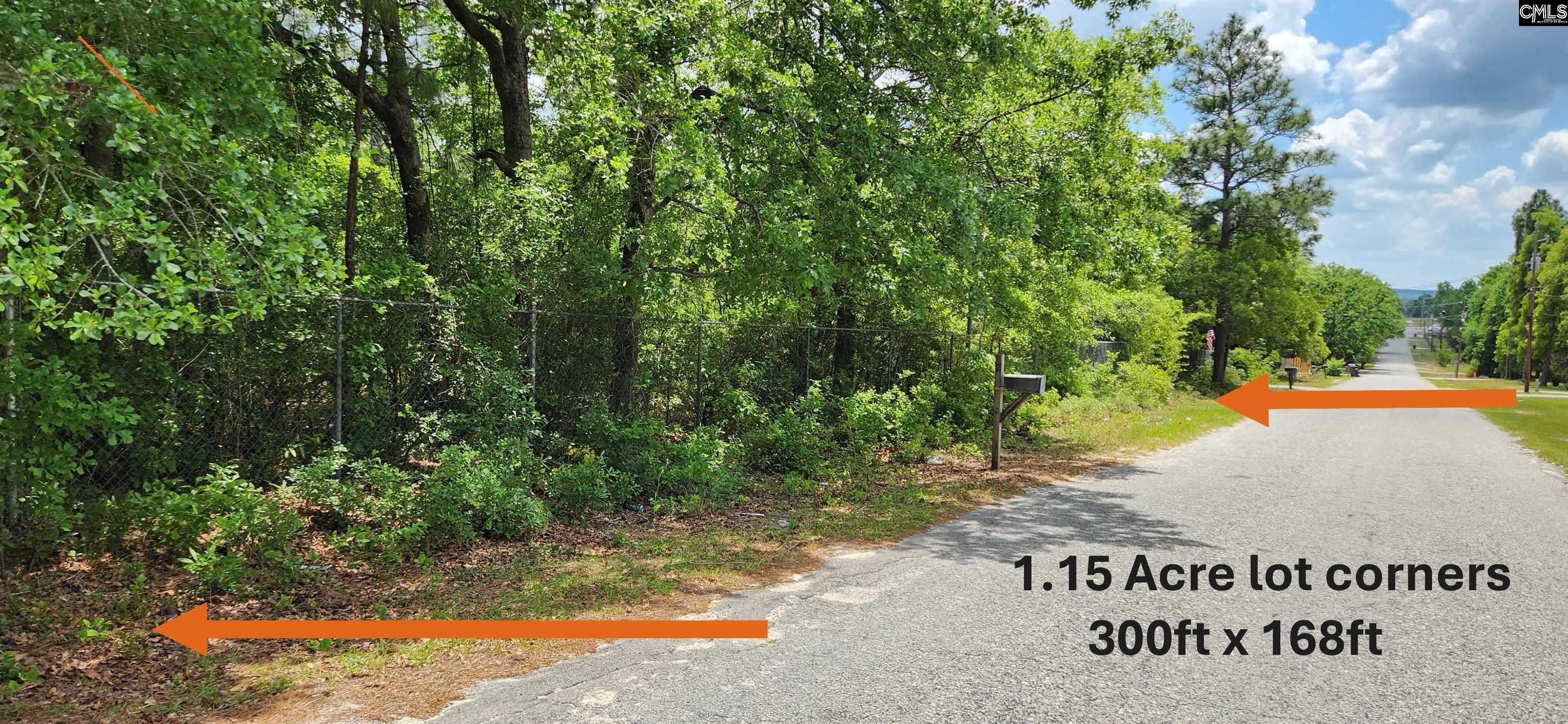 1116 Bachman Drive, Lexington, South Carolina image 4