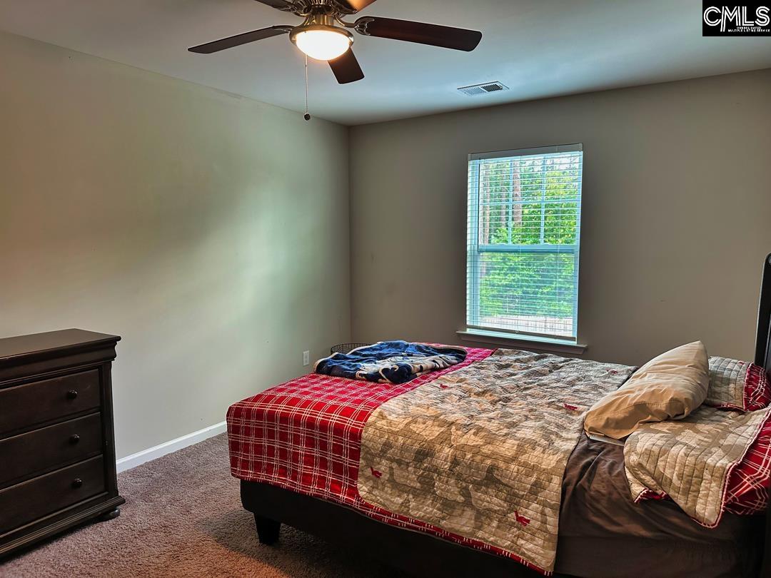510 Red Taffy Way, Lexington, South Carolina image 27