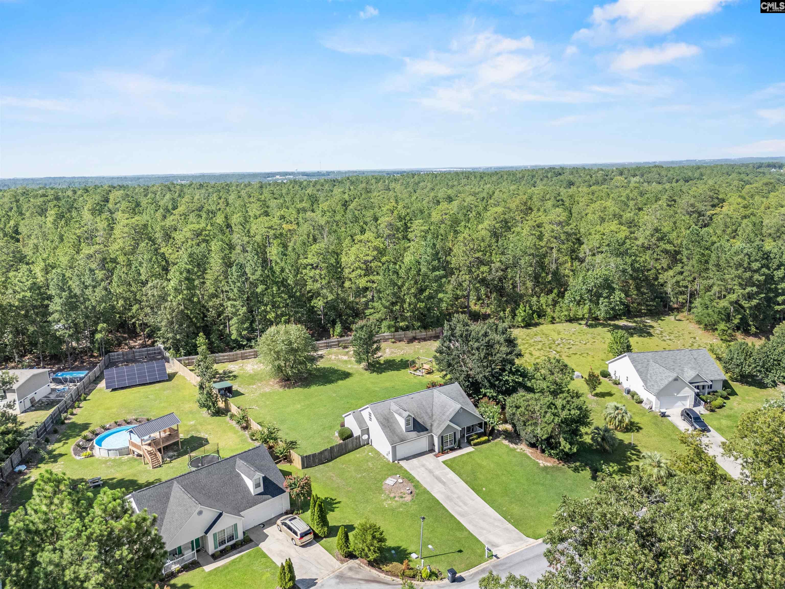 109 Farm Chase Drive, Lexington, South Carolina image 2