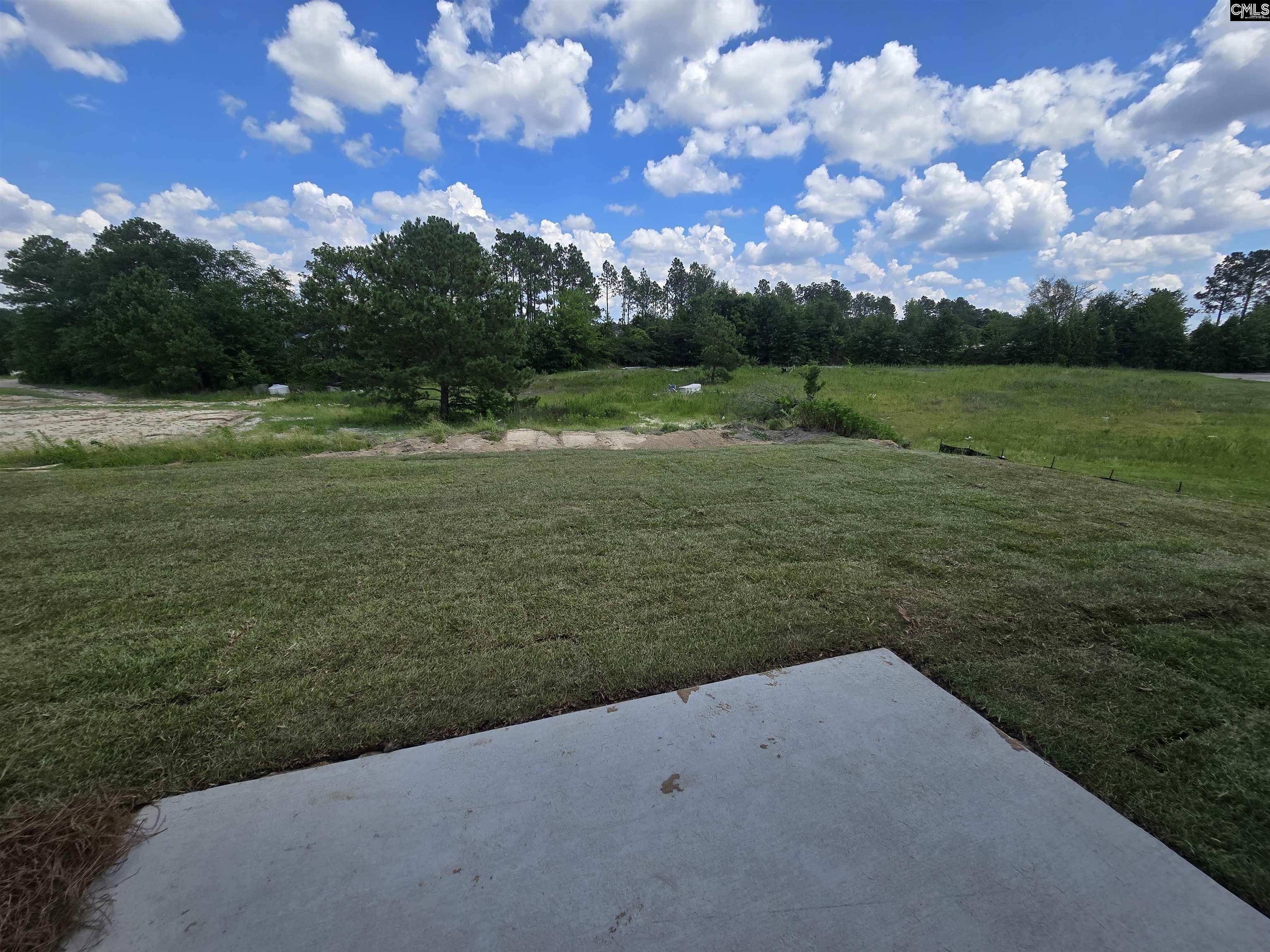 318 South Lake Court Lexington, SC 29073