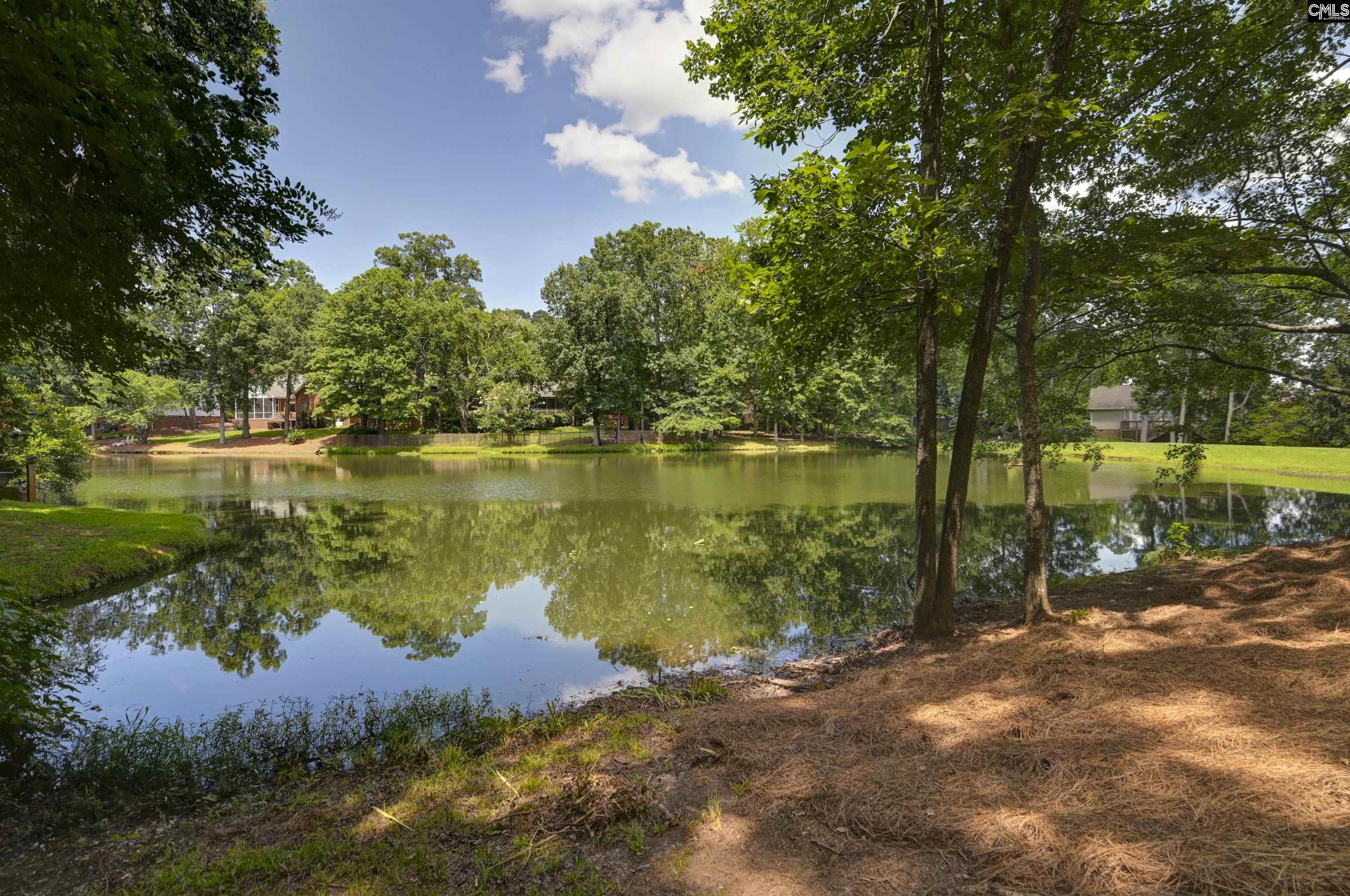 111 Hill Lake Drive Lexington, SC 29072